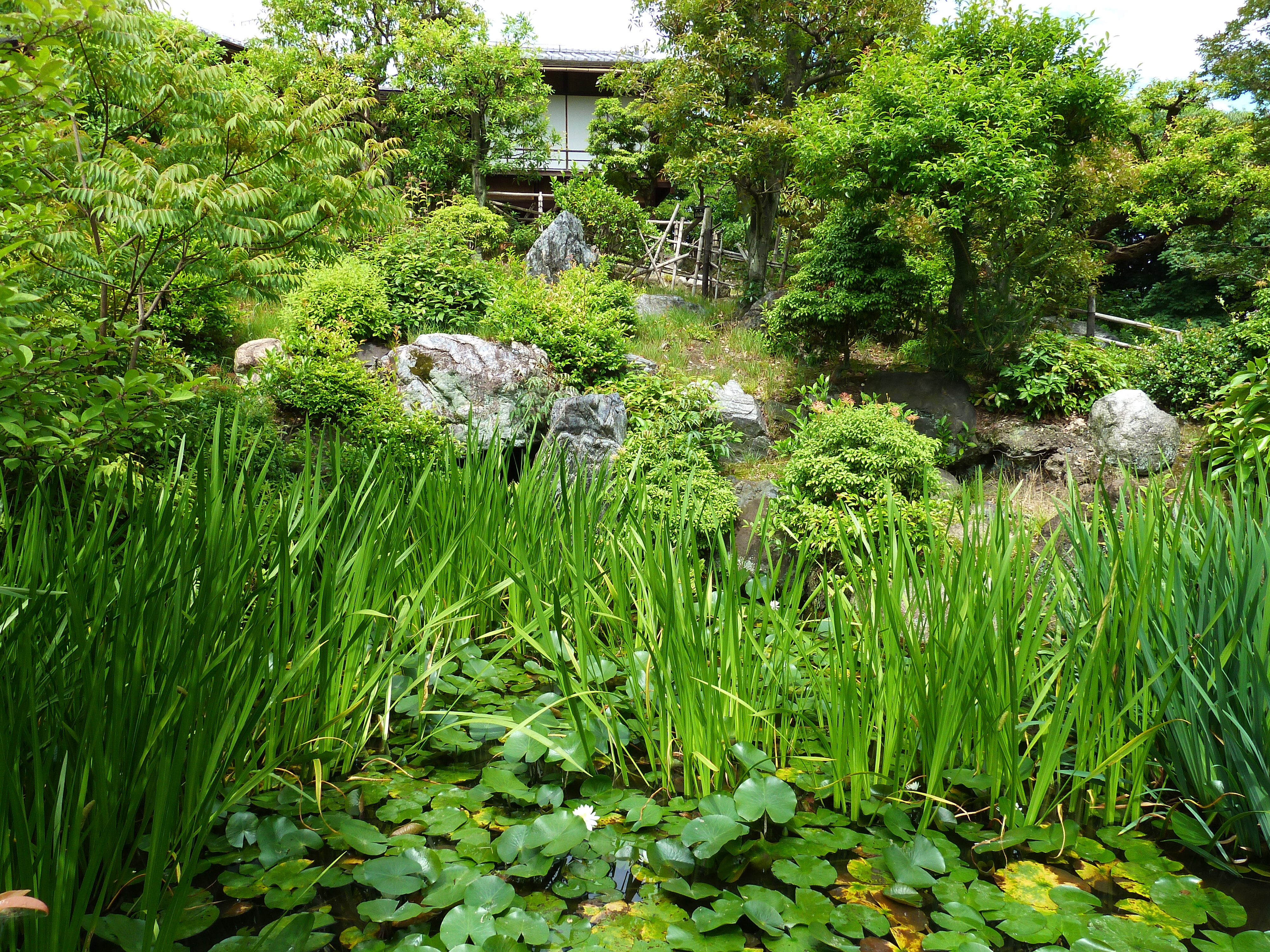Photo Japon Kyoto Jardin Shosei en 2010-06 81