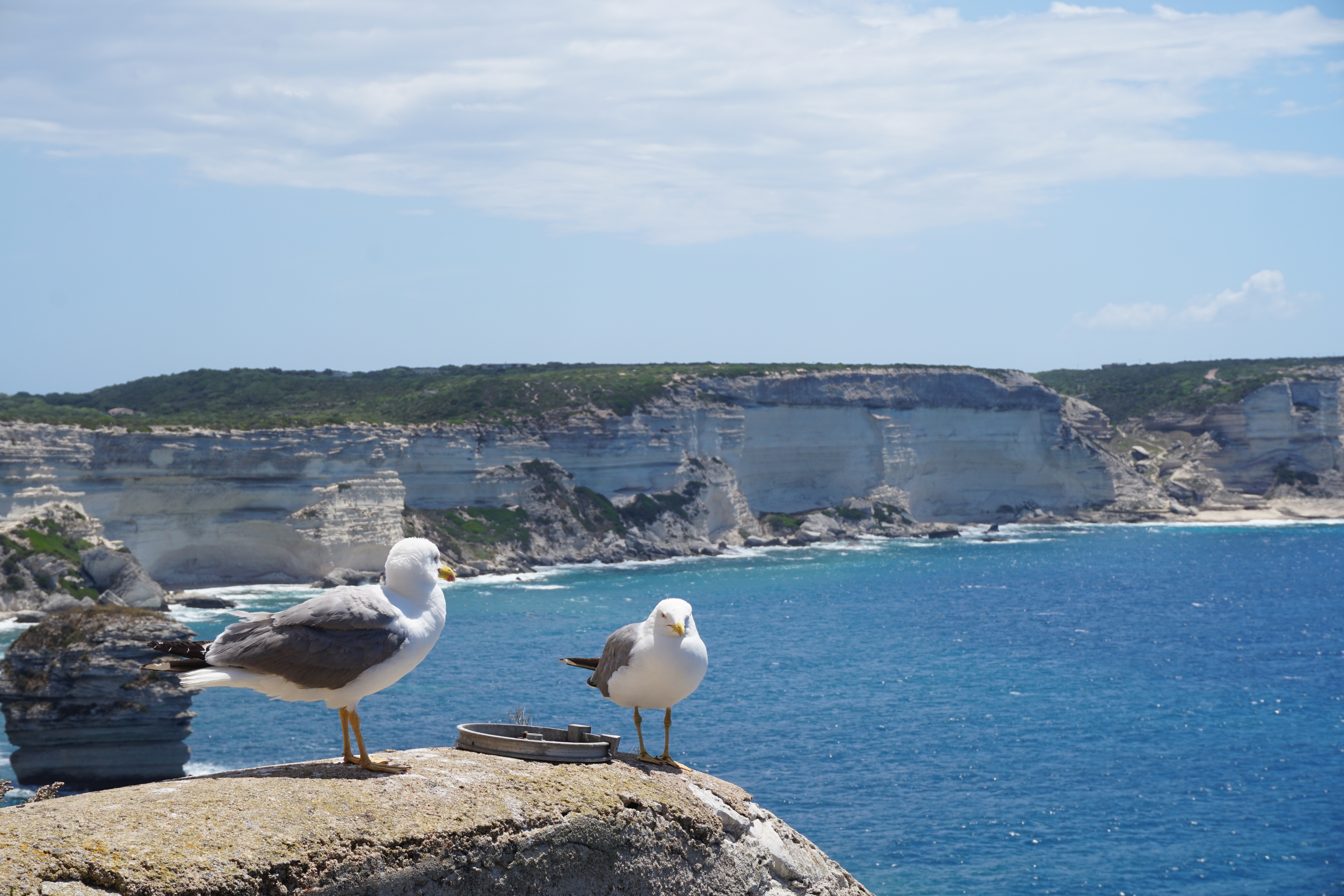 Photo France Corse Bonifacio 2017-07 53