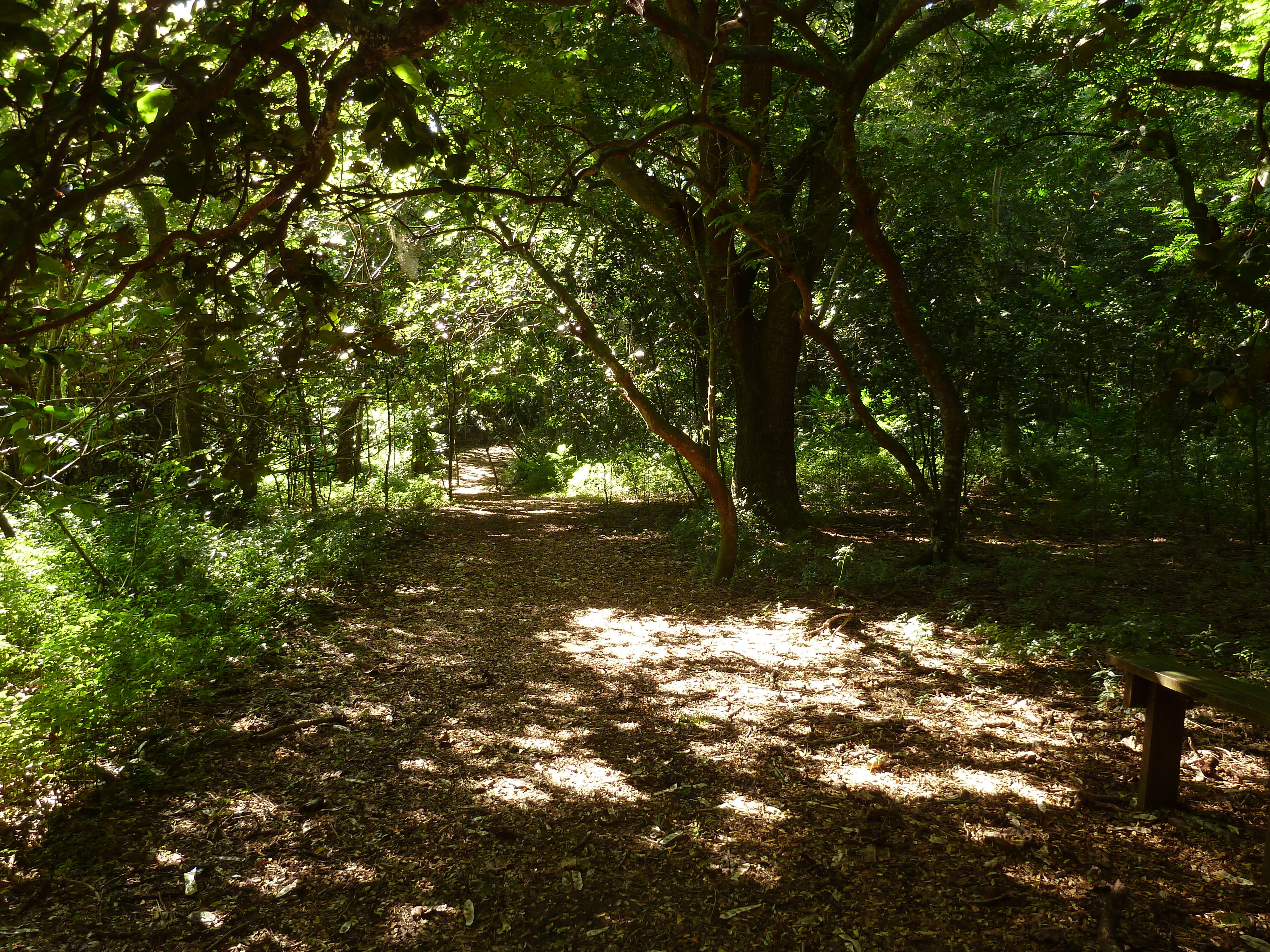 Photo Îles Fidji Parc des dunes de Sigatoka 2010-05 37