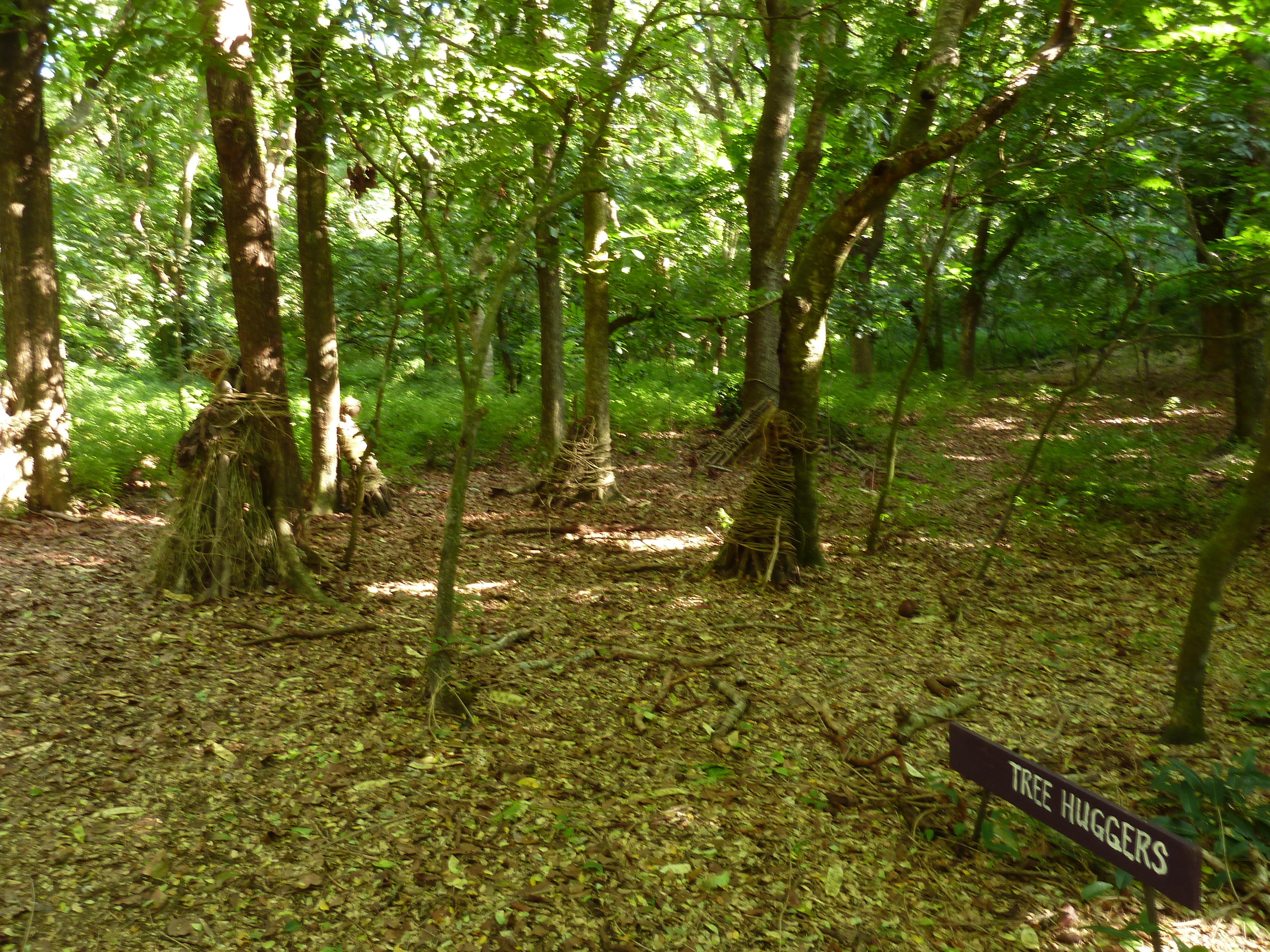 Photo Îles Fidji Parc des dunes de Sigatoka 2010-05 43