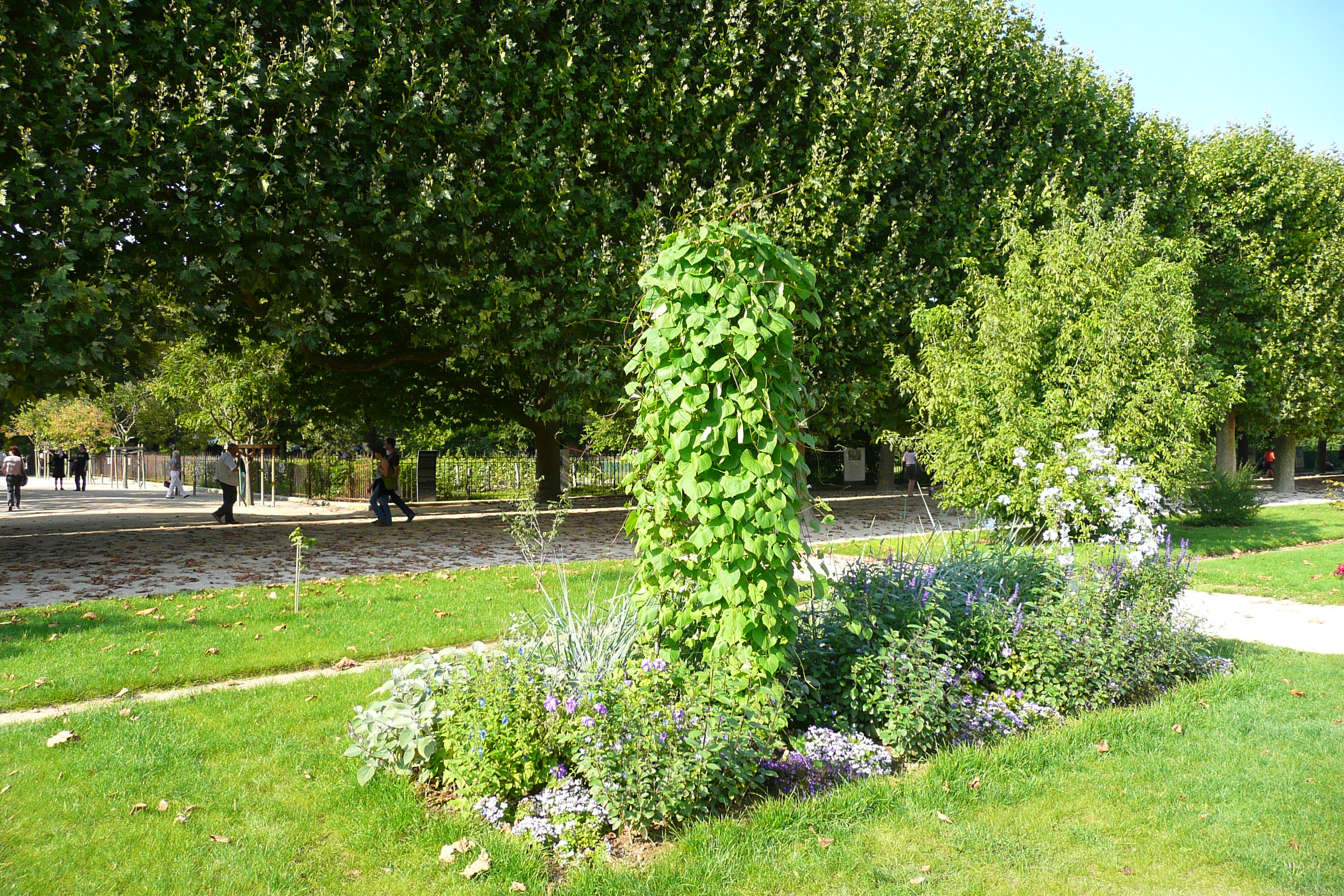 Photo France Paris Jardin des Plantes 2007-08 51