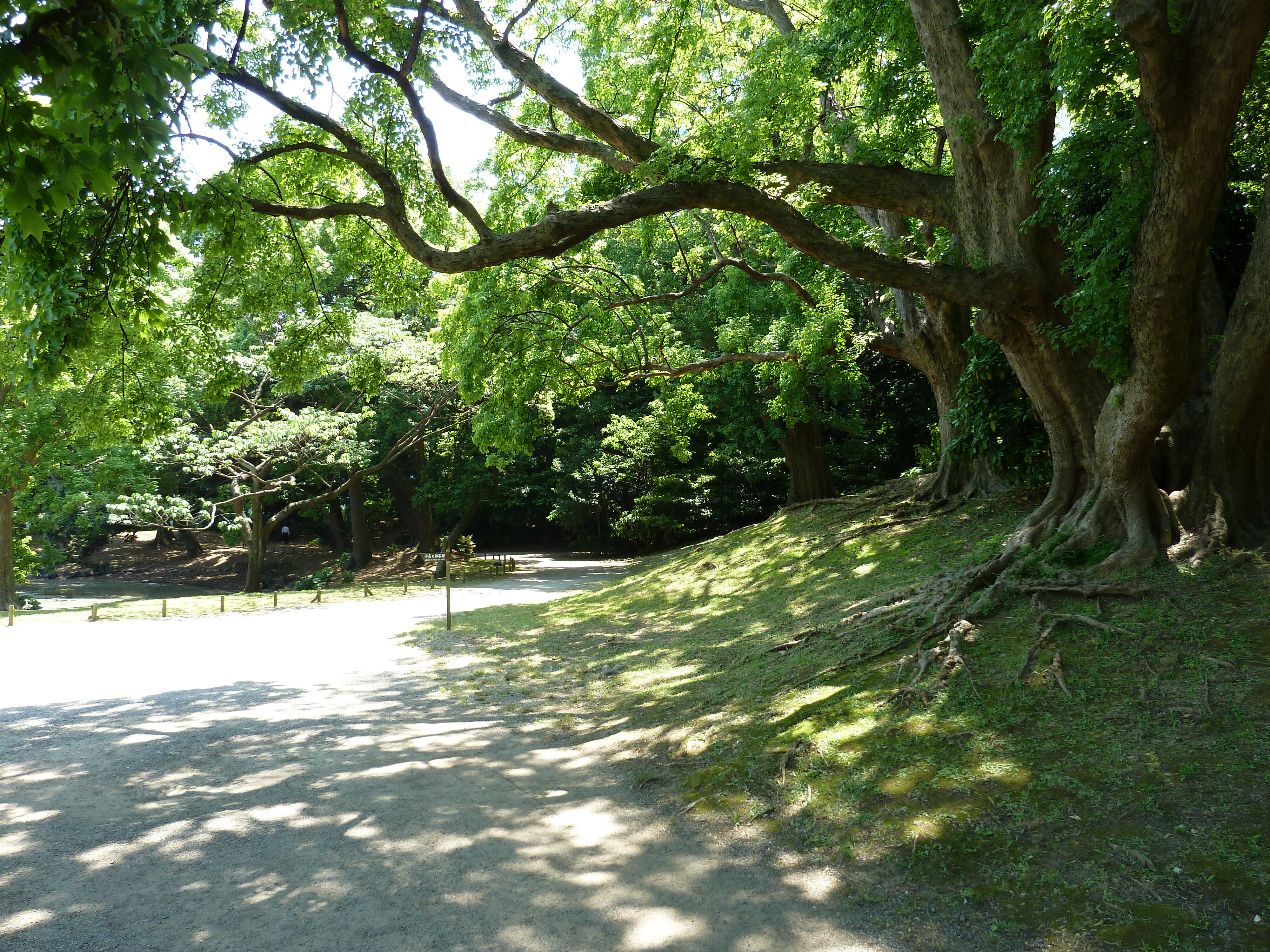 Photo Japon Tokyo Jardins Hama rikyu 2010-06 31