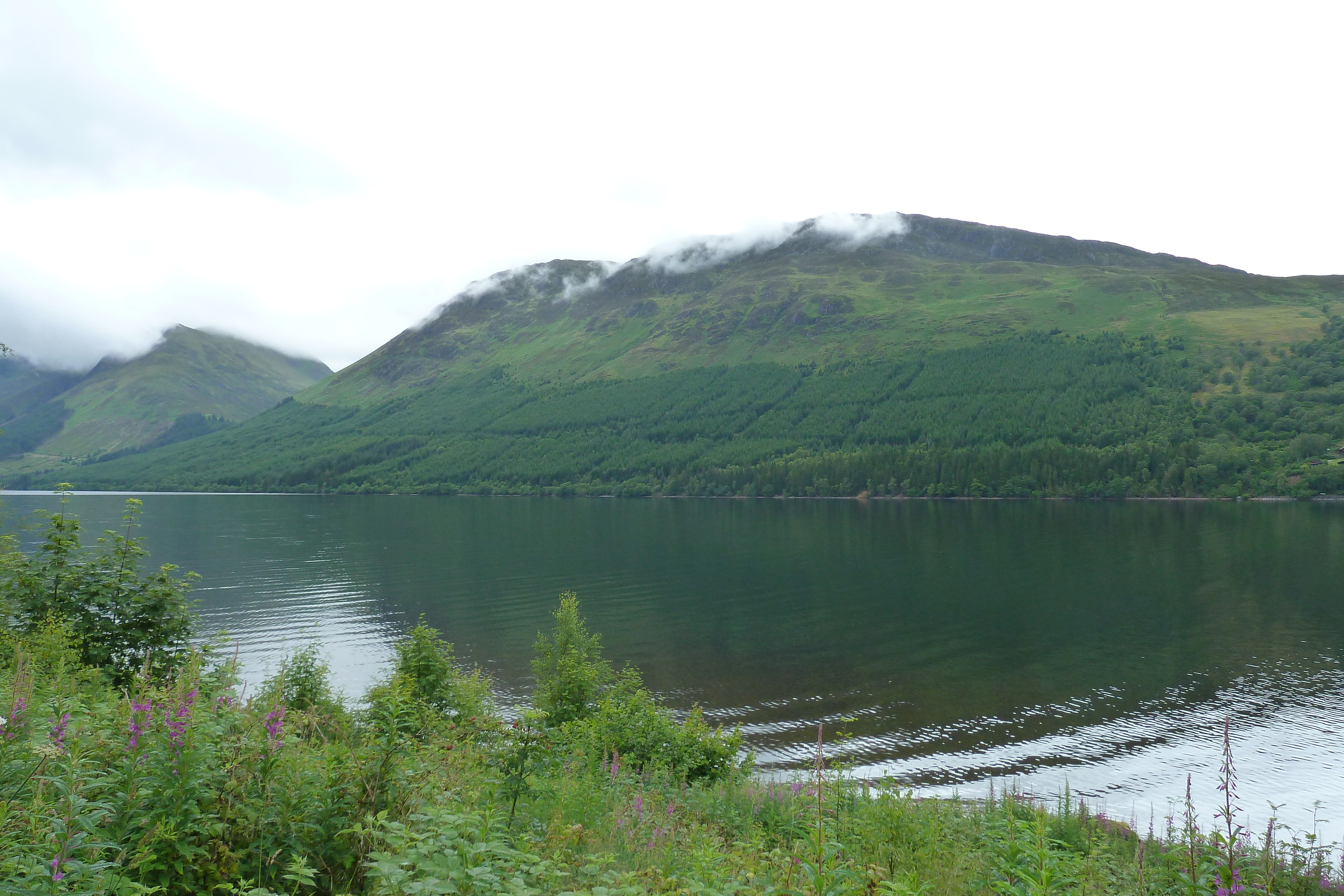 Photo Royaume-Uni Écosse Route du Loch Laggan au Loch Ness 2011-07 18