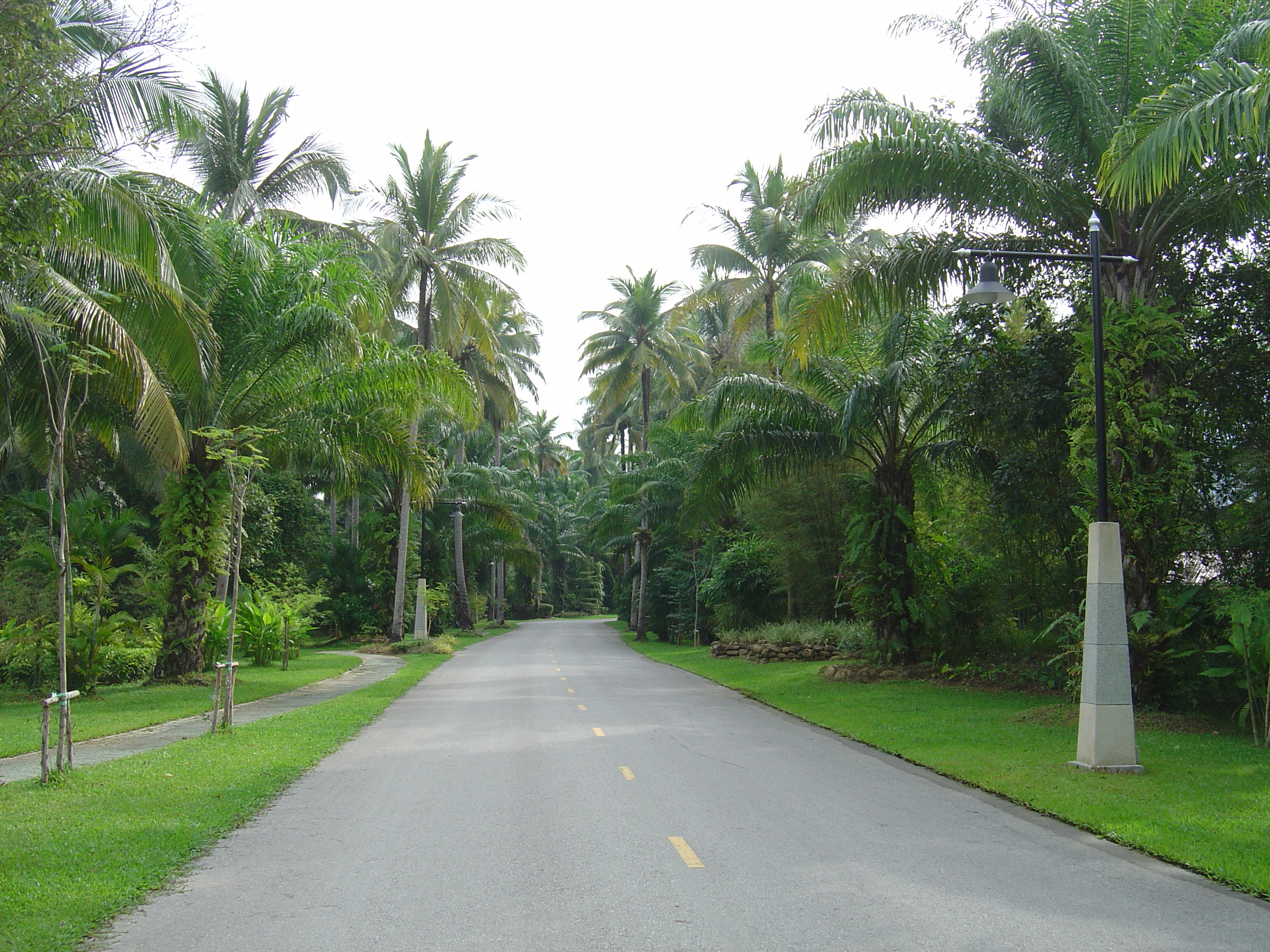 Photo Thaïlande Khao Lak Meridien Khao Lak Hotel 2005-12 235