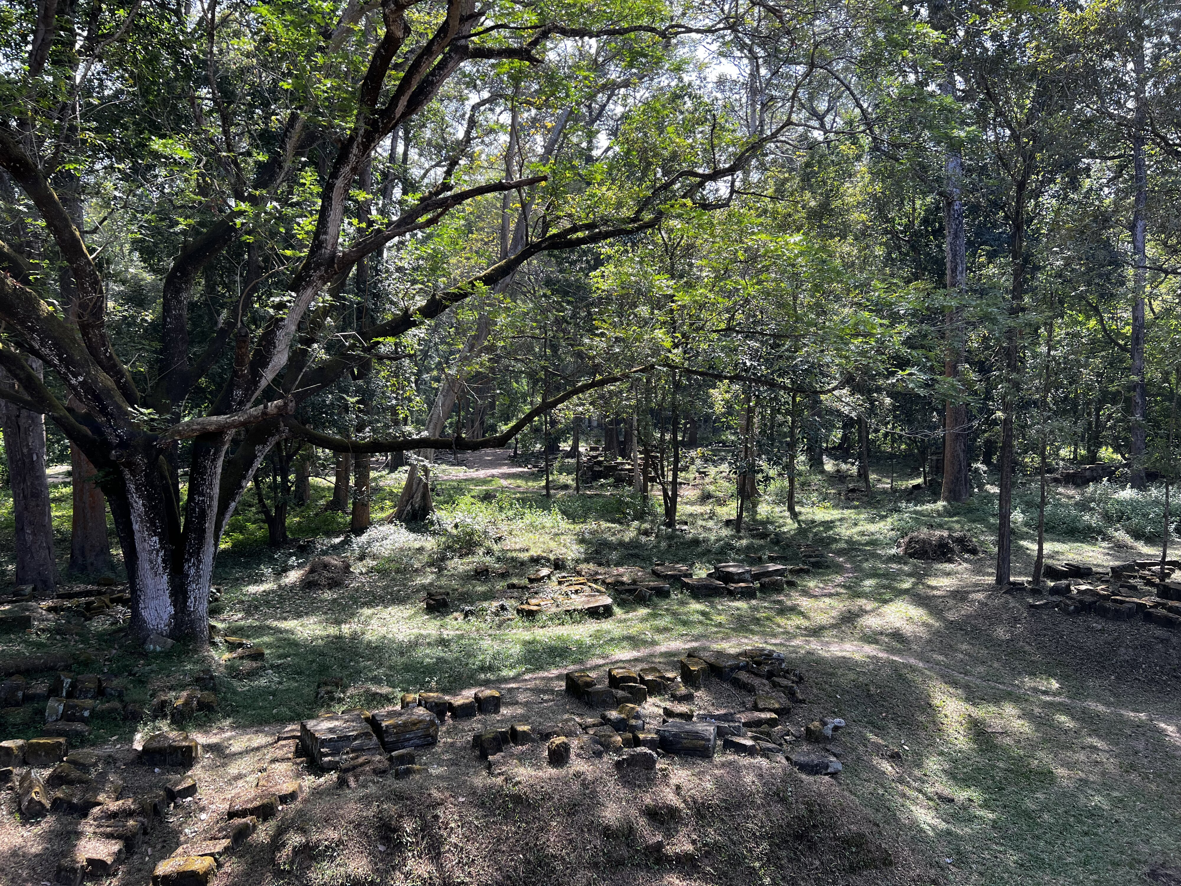 Photo Cambodge Siem Reap Baphuon 2023-01 63
