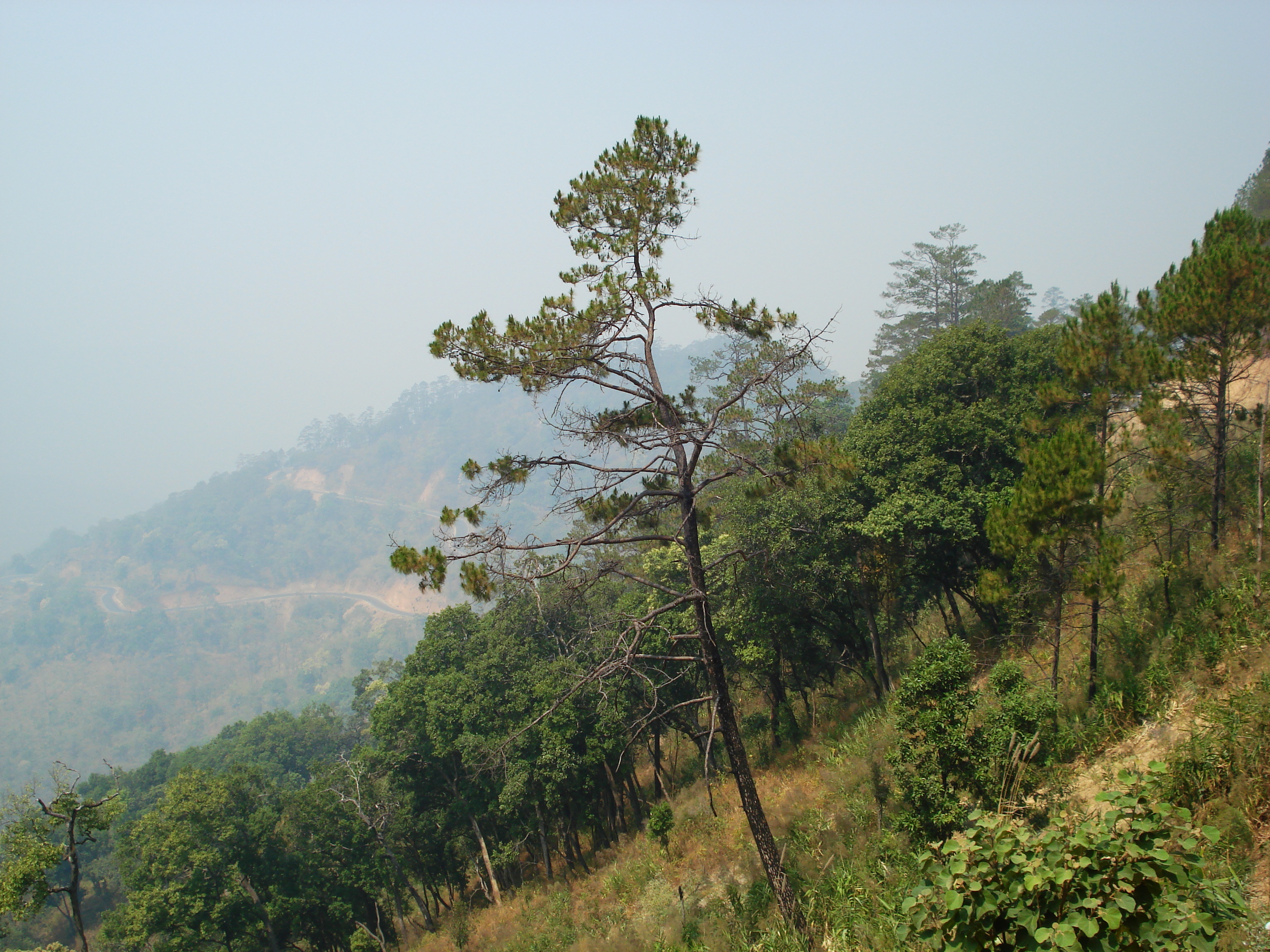 Photo Thaïlande Route de Pang Mapha à Pai 2007-02 57