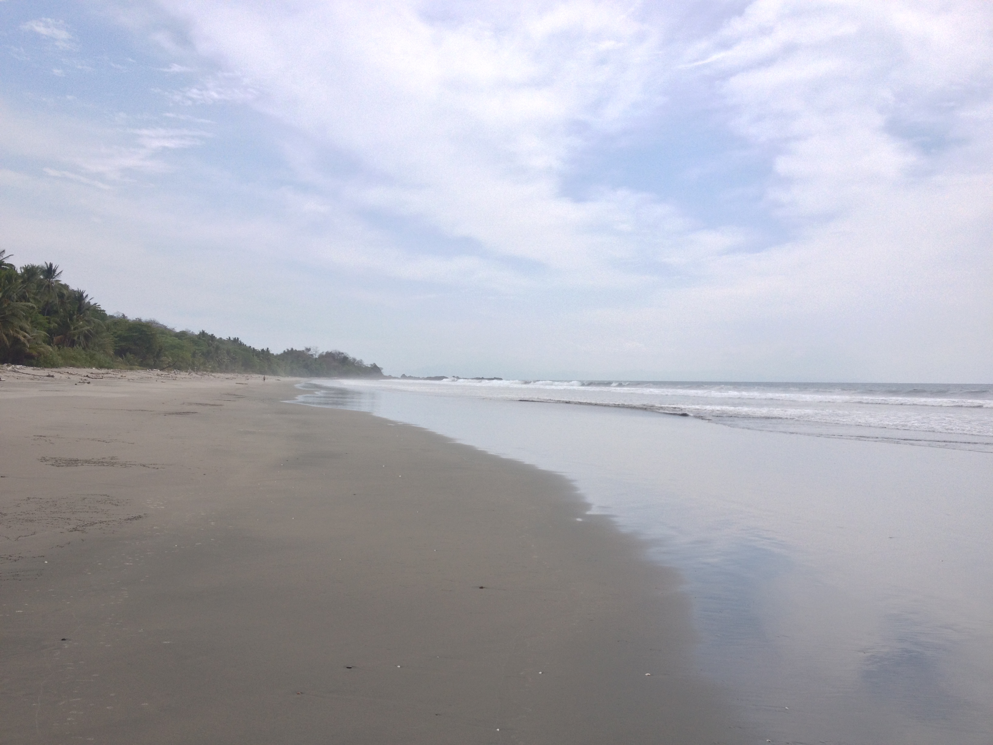 Photo Costa Rica Montezuma 2015-03 271