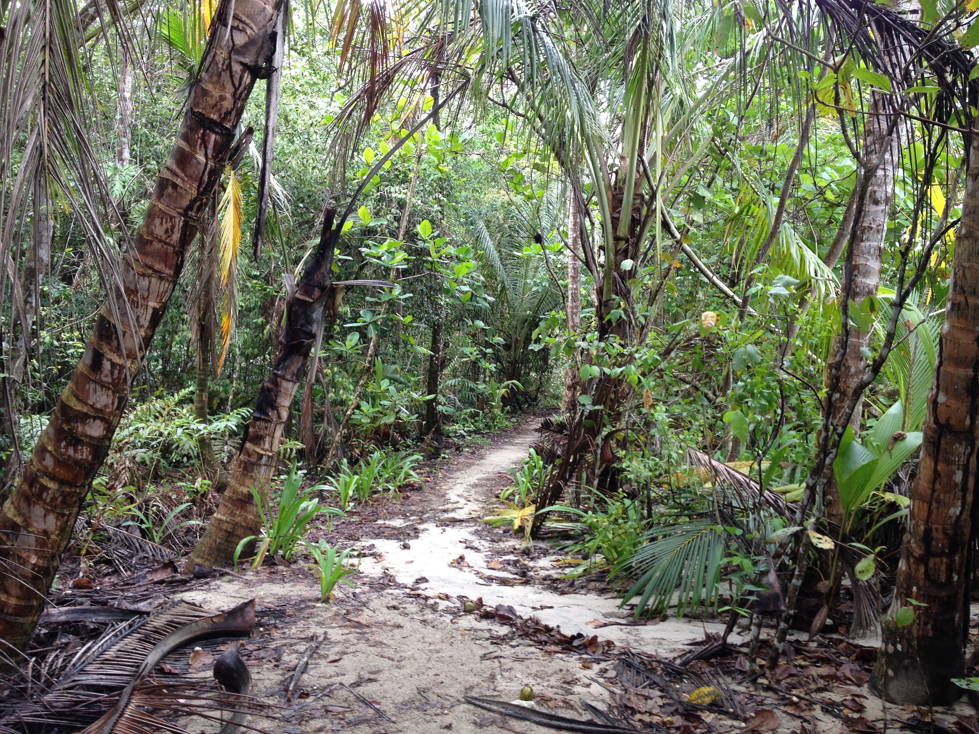 Photo Costa Rica Cahuita 2015-03 48