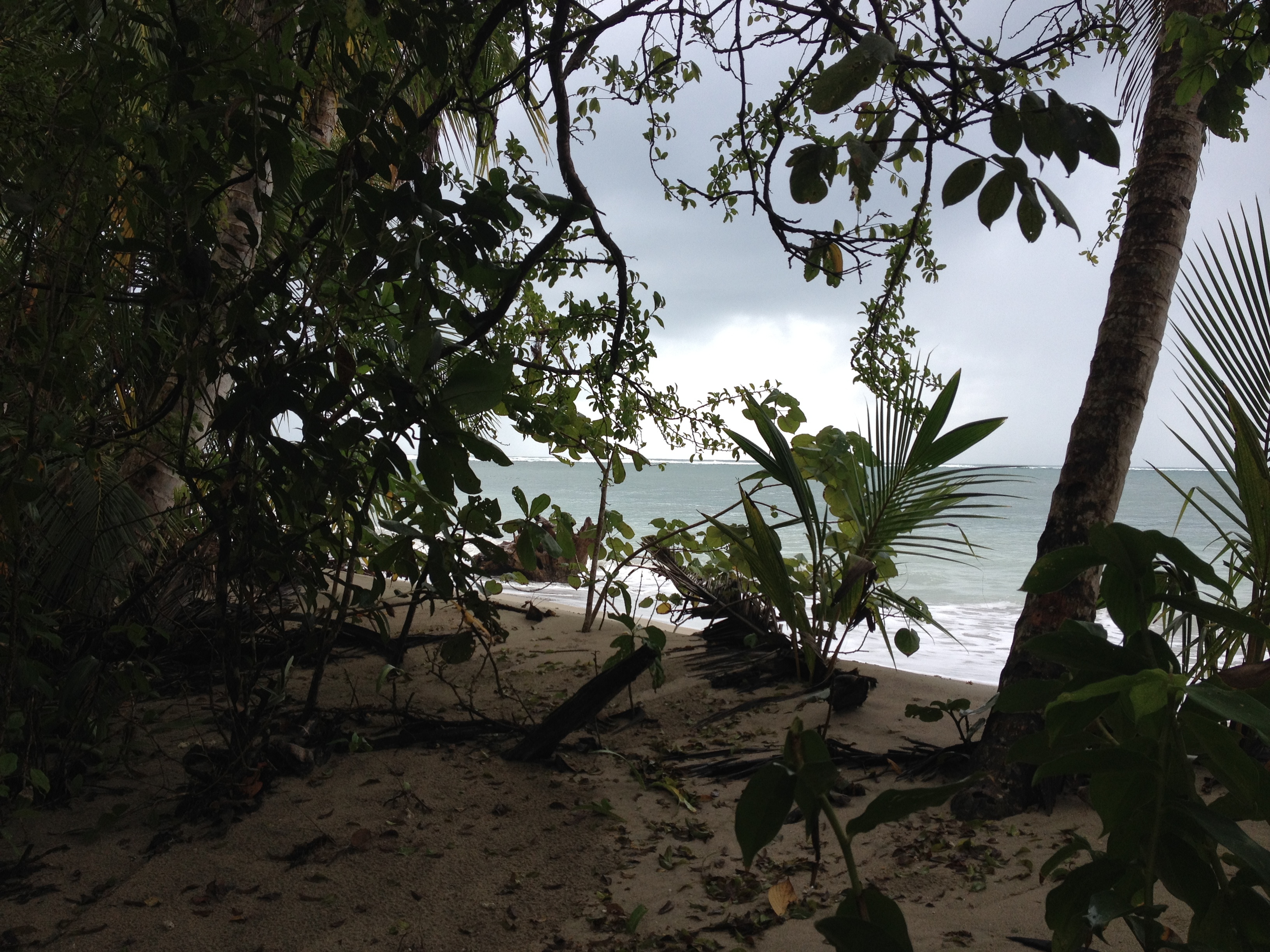 Photo Costa Rica Cahuita 2015-03 64