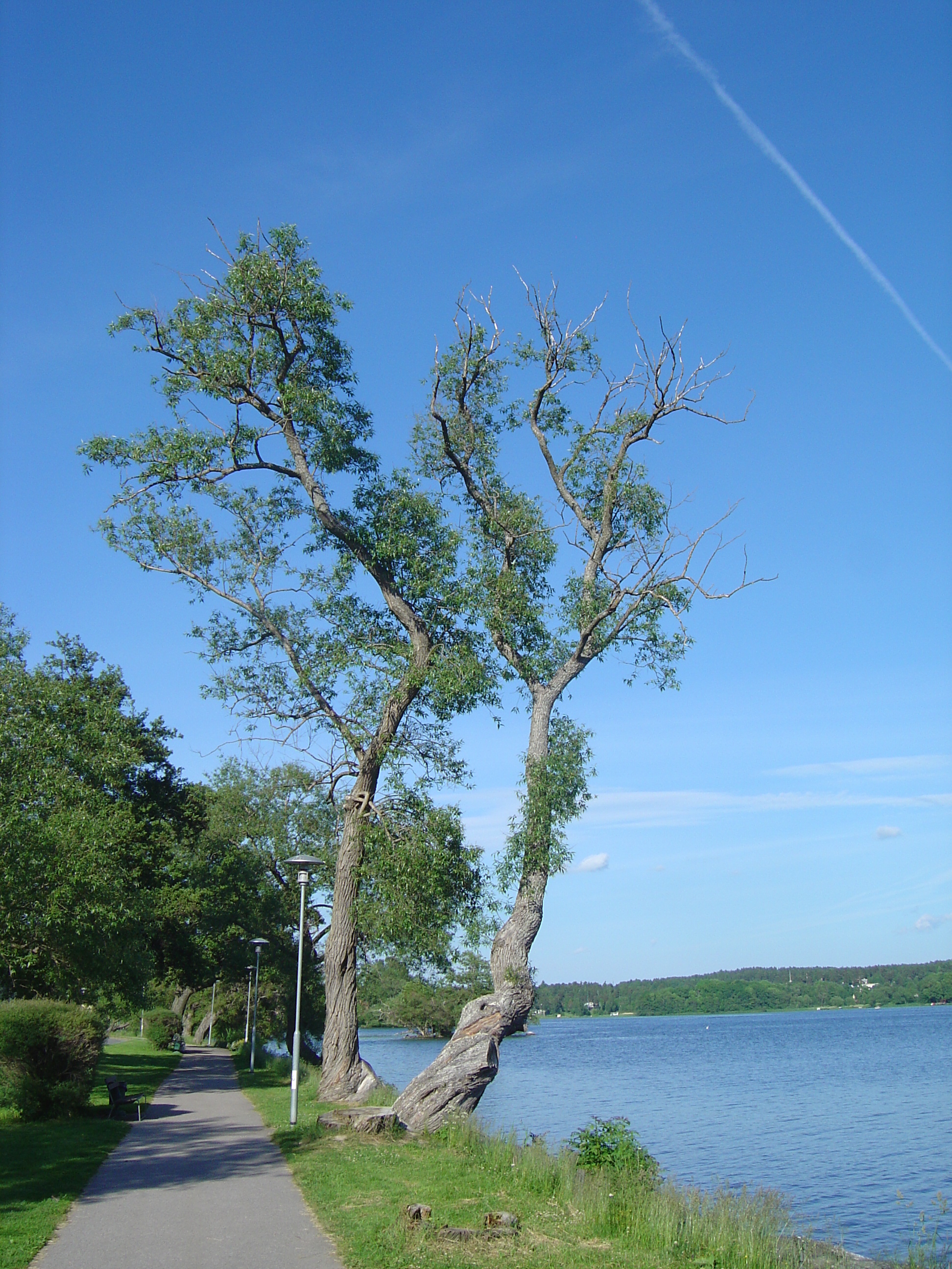 Photo Suède Sigtuna 2005-06 35