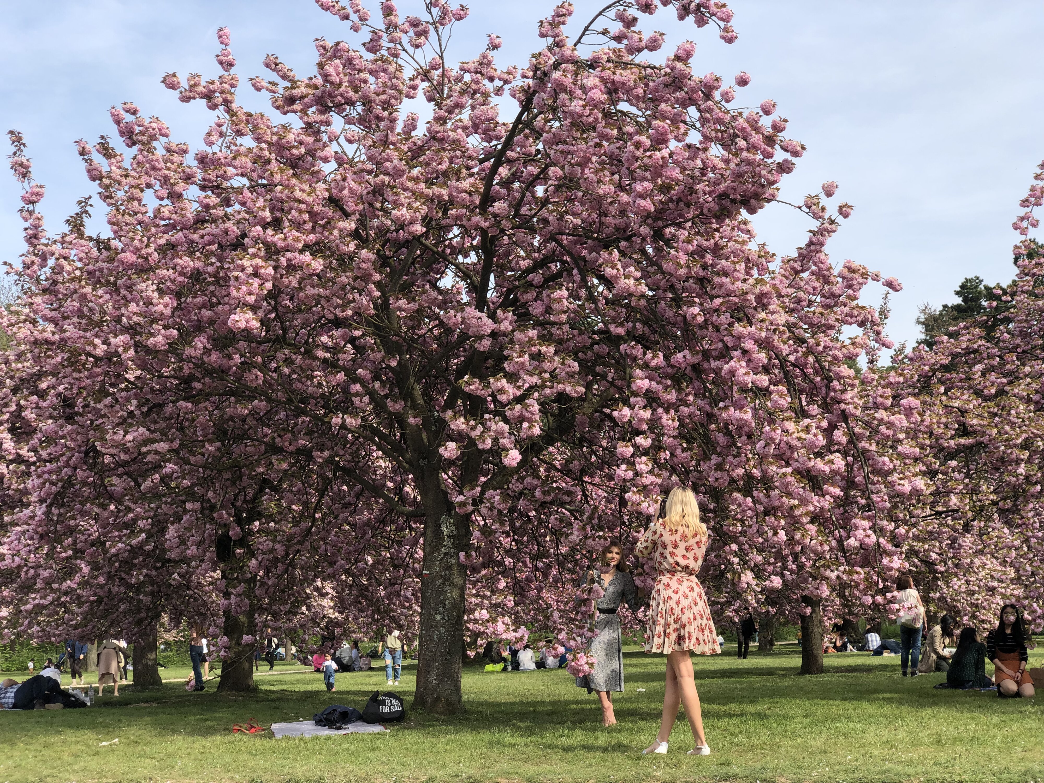 Photo France Parc de Sceaux 2019-04 29