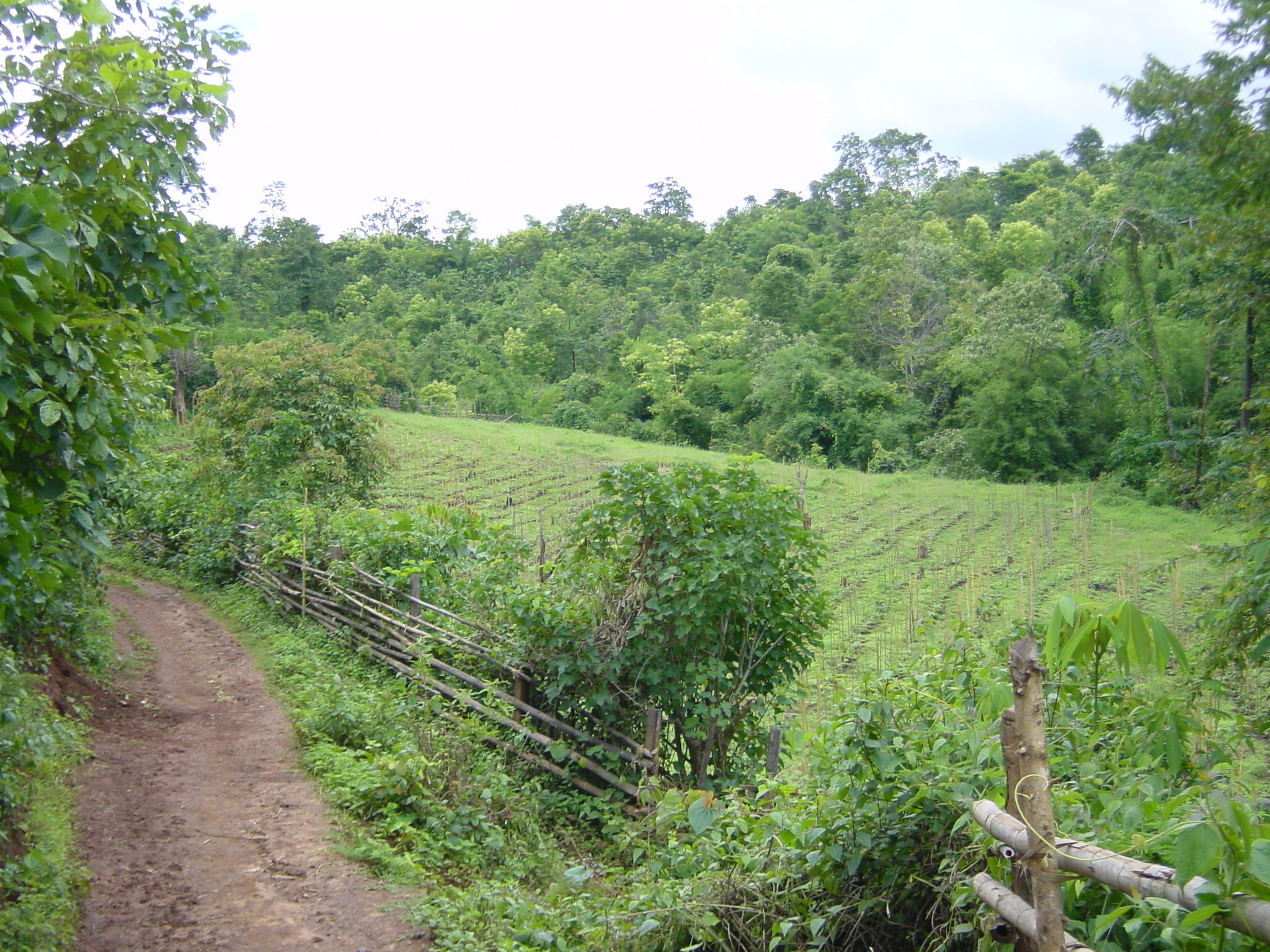 Photo Thaïlande Mae Hong Son 2003-07 29