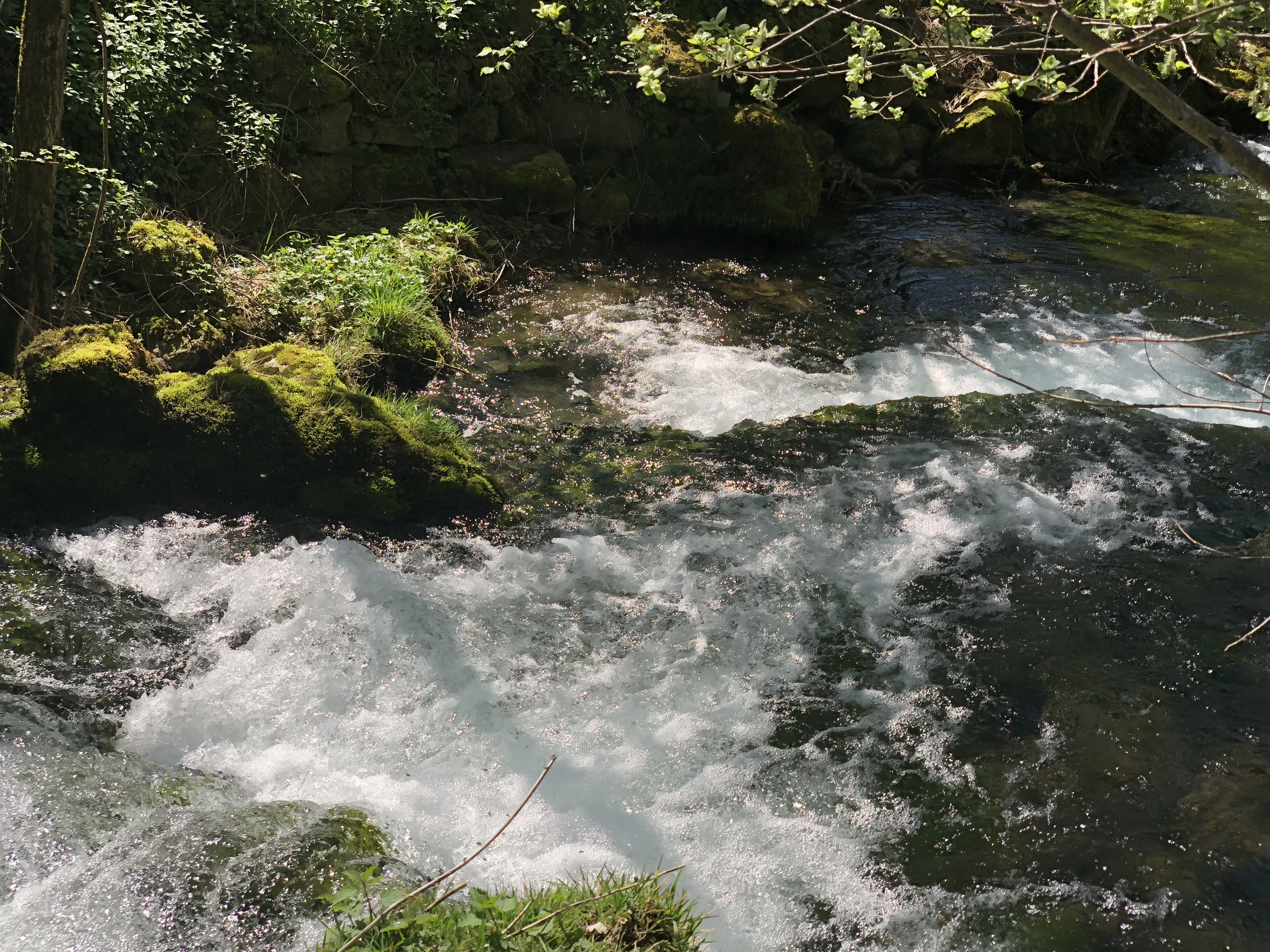 Photo France Salles la Source 2018-04 5