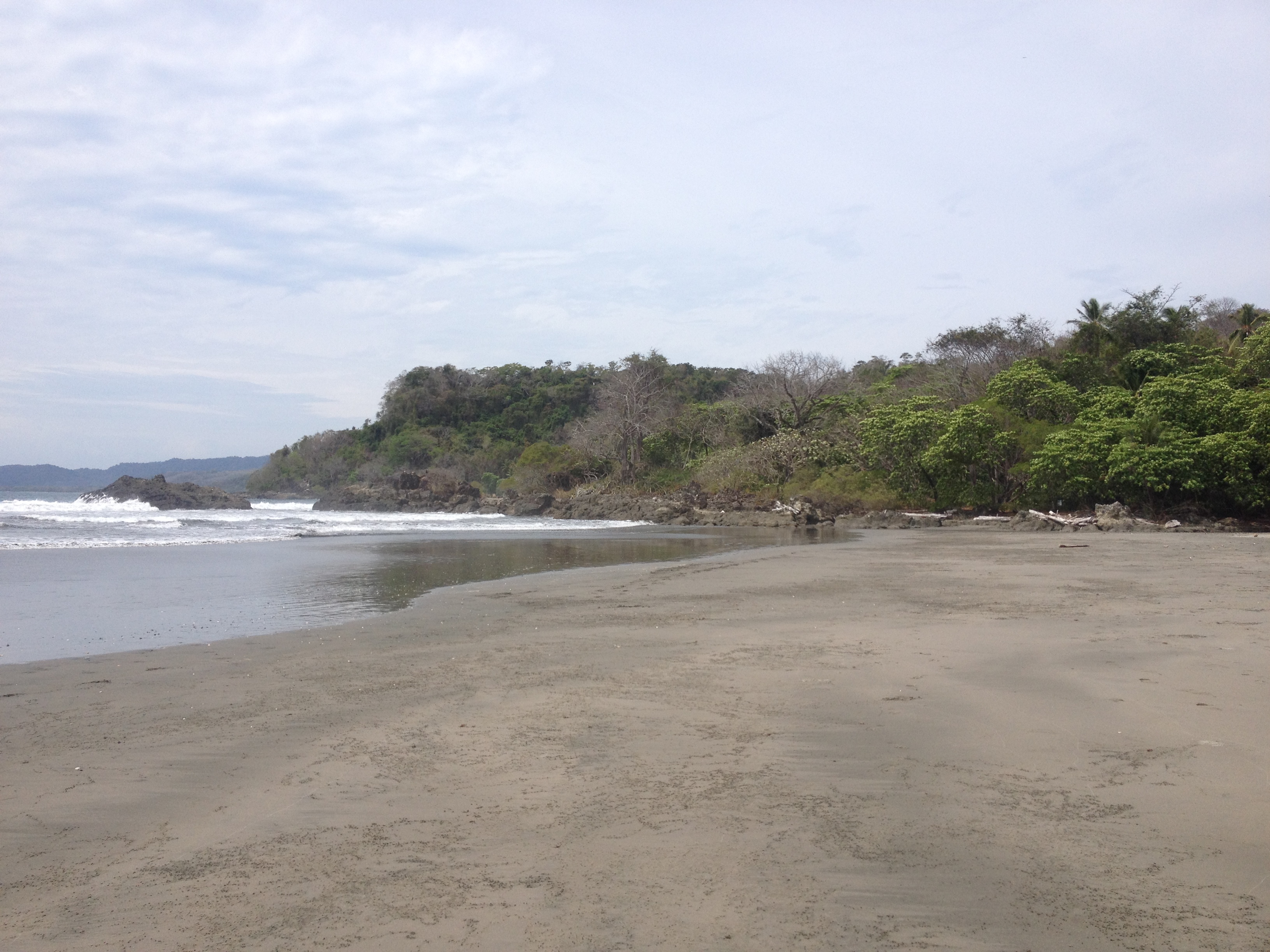 Photo Costa Rica Montezuma 2015-03 416