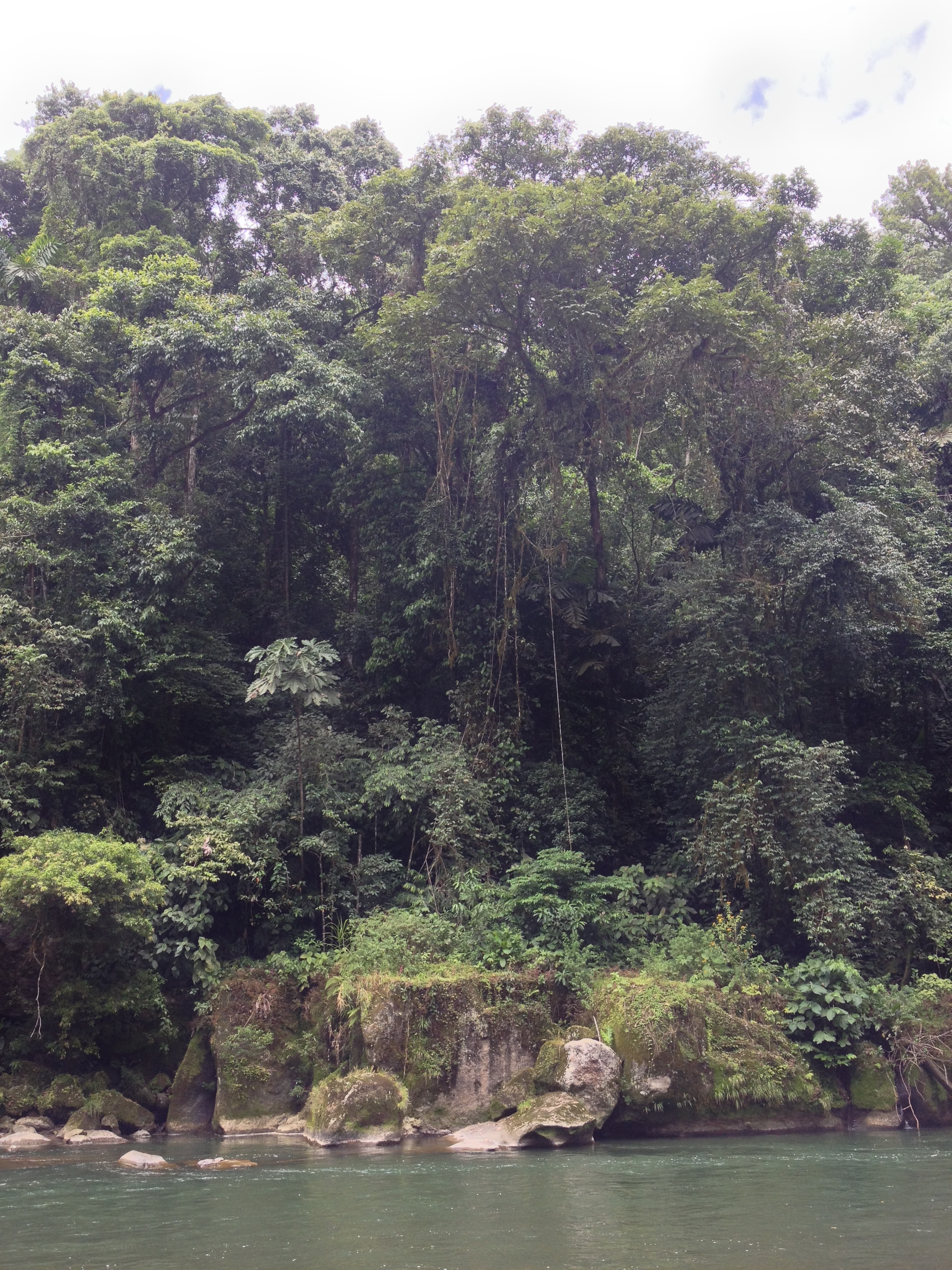Photo Costa Rica Rivière Pacuare 2015-03 225