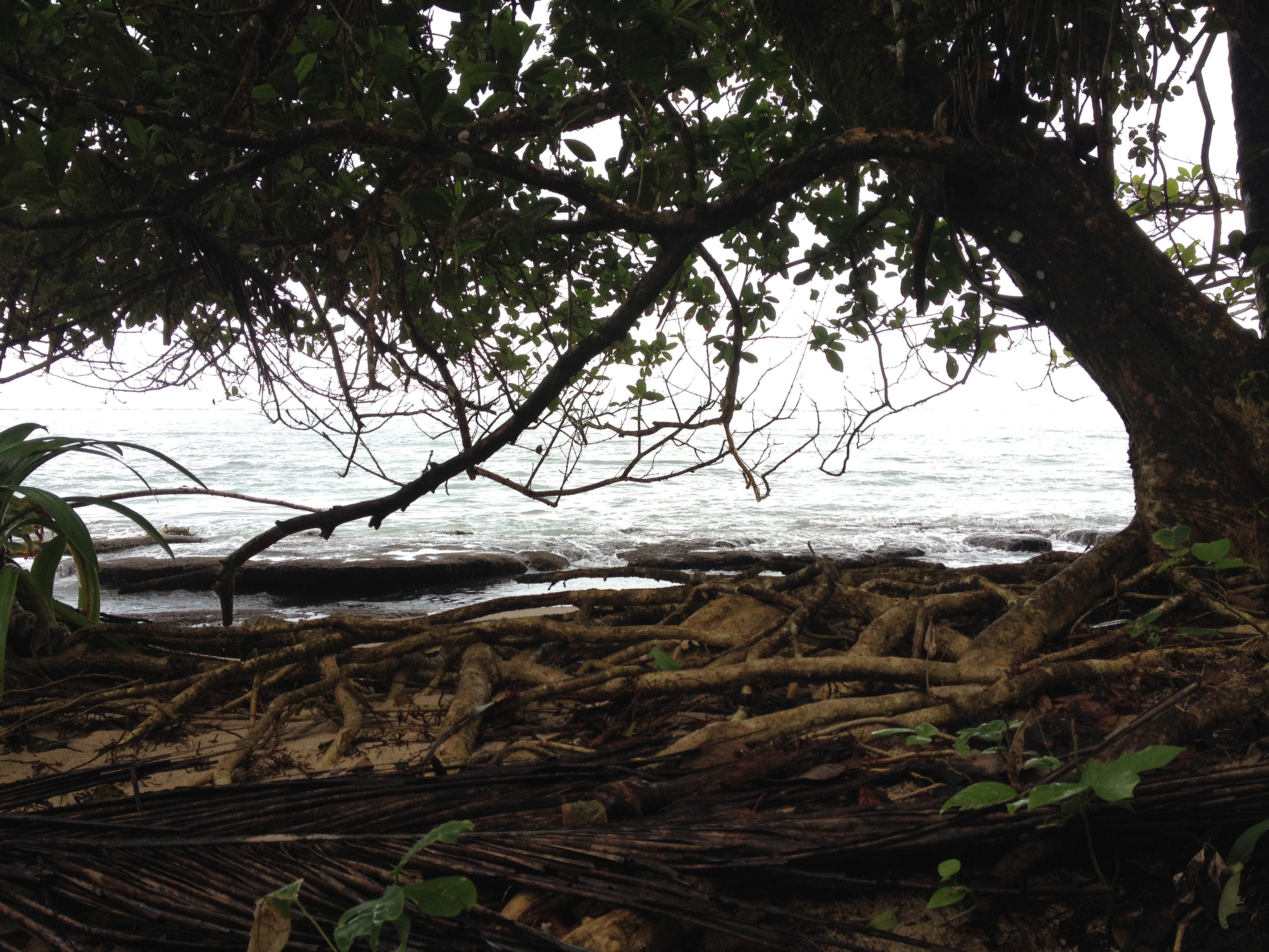 Photo Costa Rica Cahuita 2015-03 27