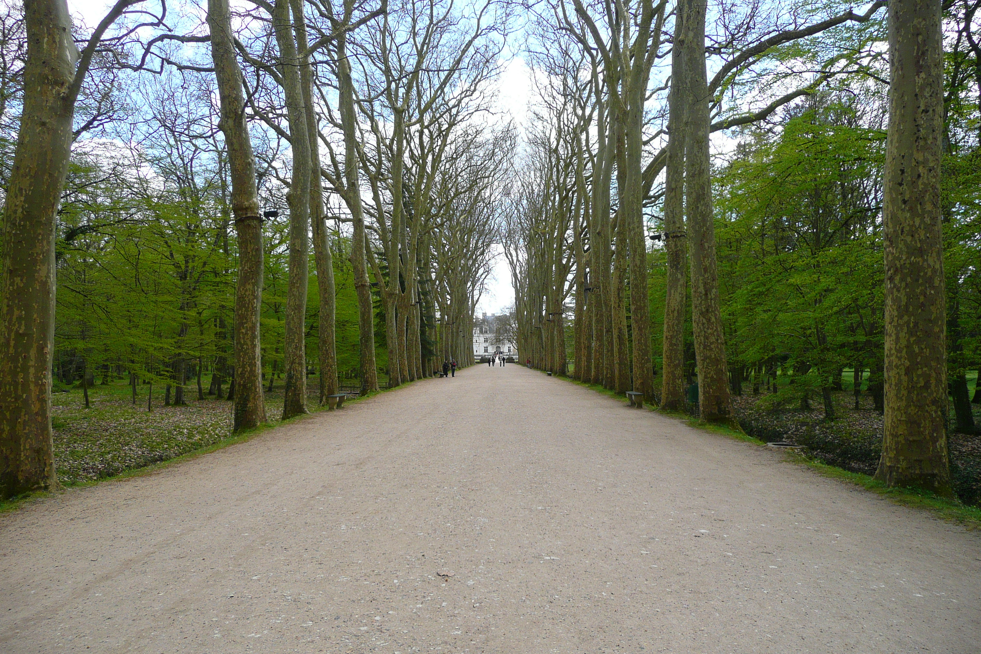 Photo France Château de Chenonceau Jardins de Chenonceau 2008-04 53