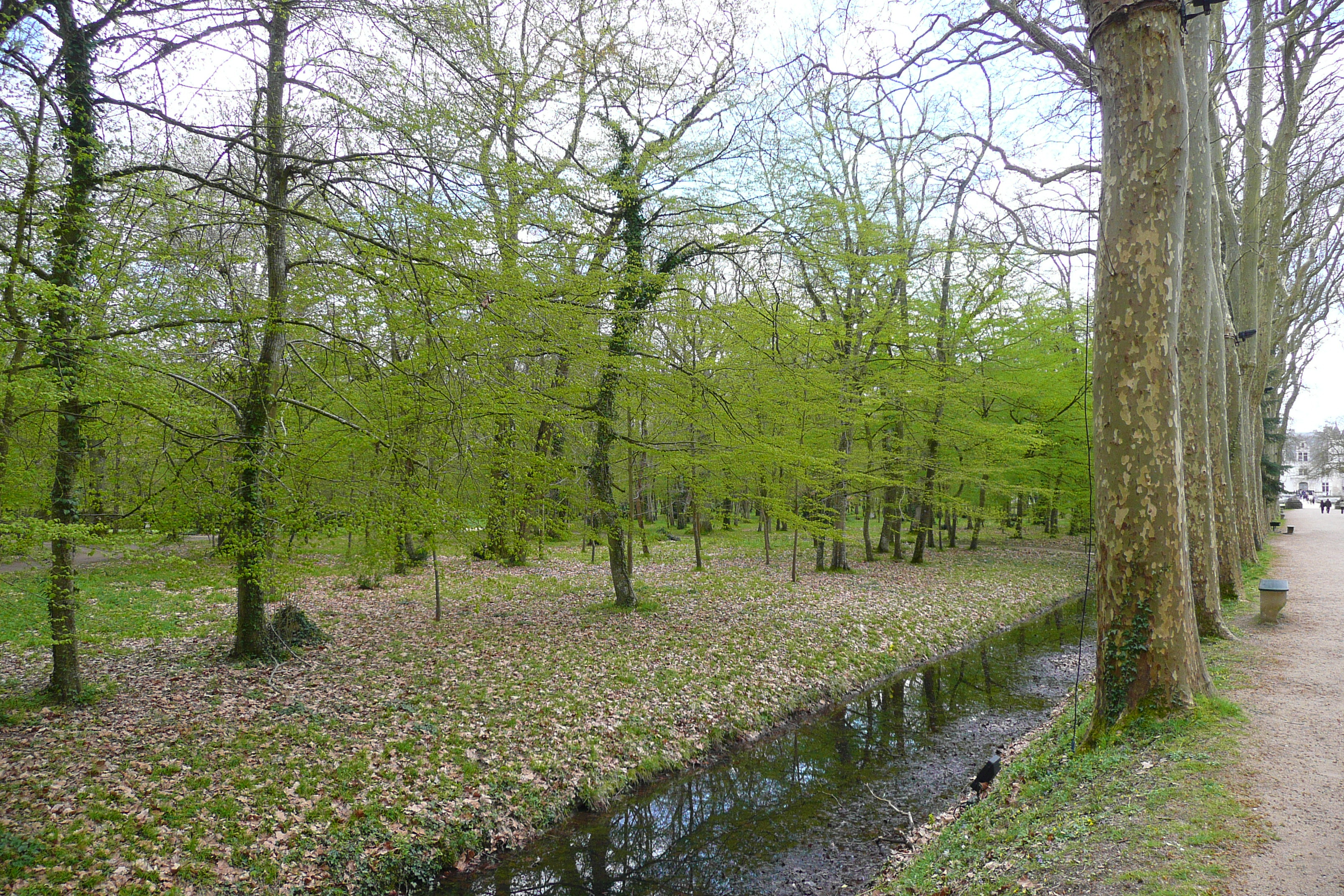 Photo France Château de Chenonceau Jardins de Chenonceau 2008-04 48