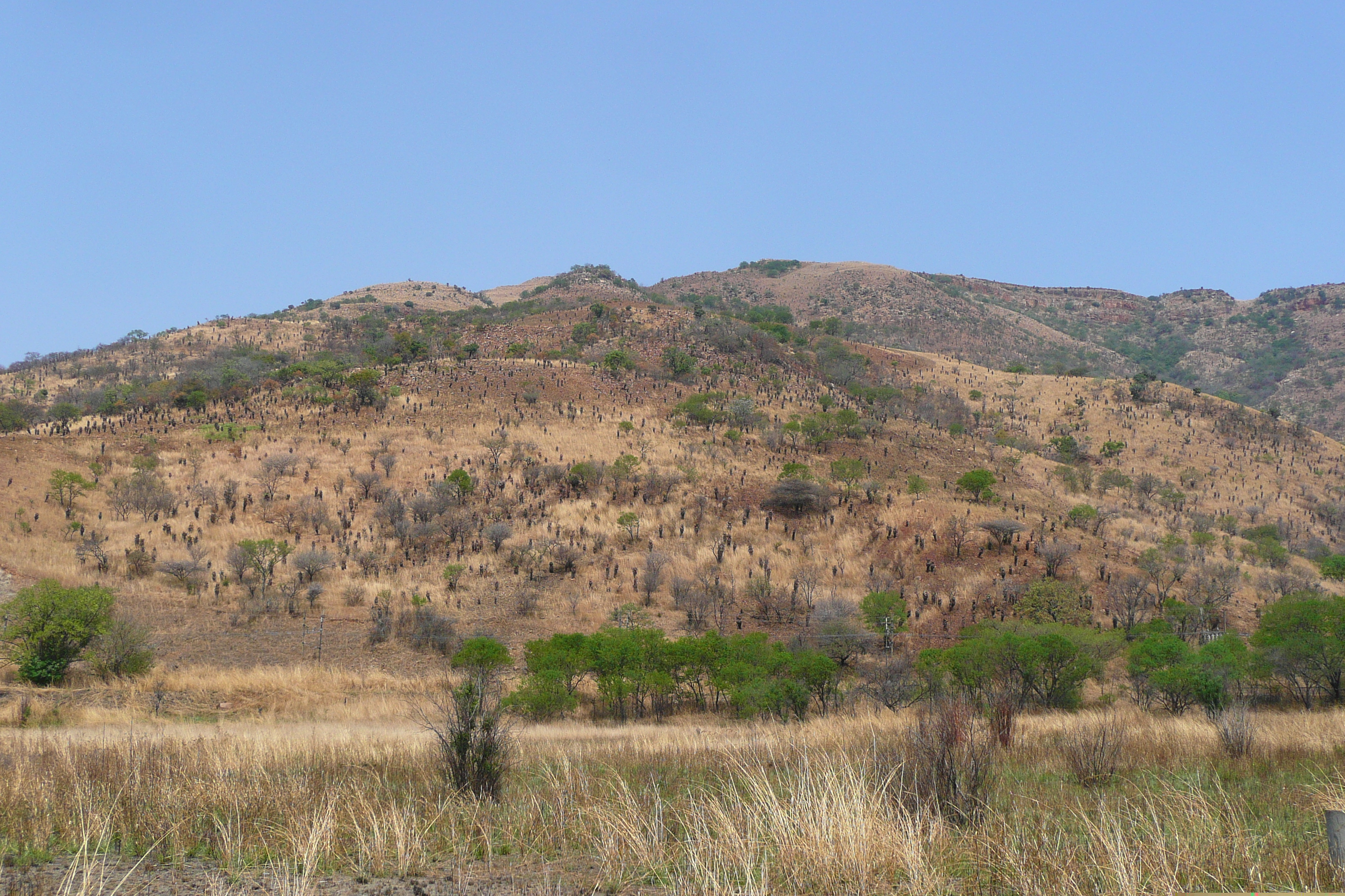 Photo Afrique du Sud route de Nelspruit à Johannesburg 2008-09 157