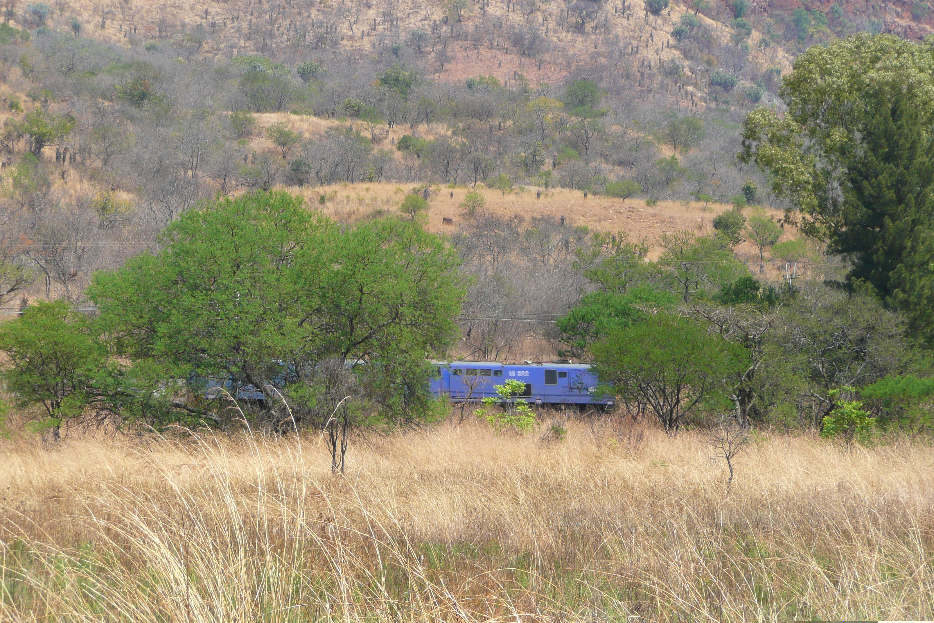 Photo Afrique du Sud route de Nelspruit à Johannesburg 2008-09 160