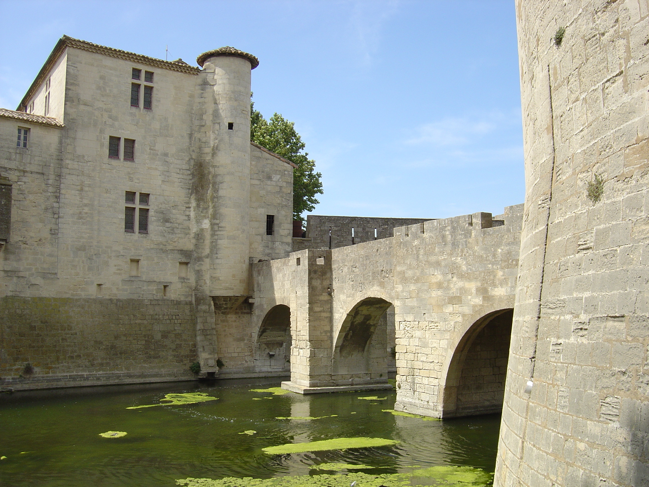 Photo France Aigues Mortes 2004-08 17