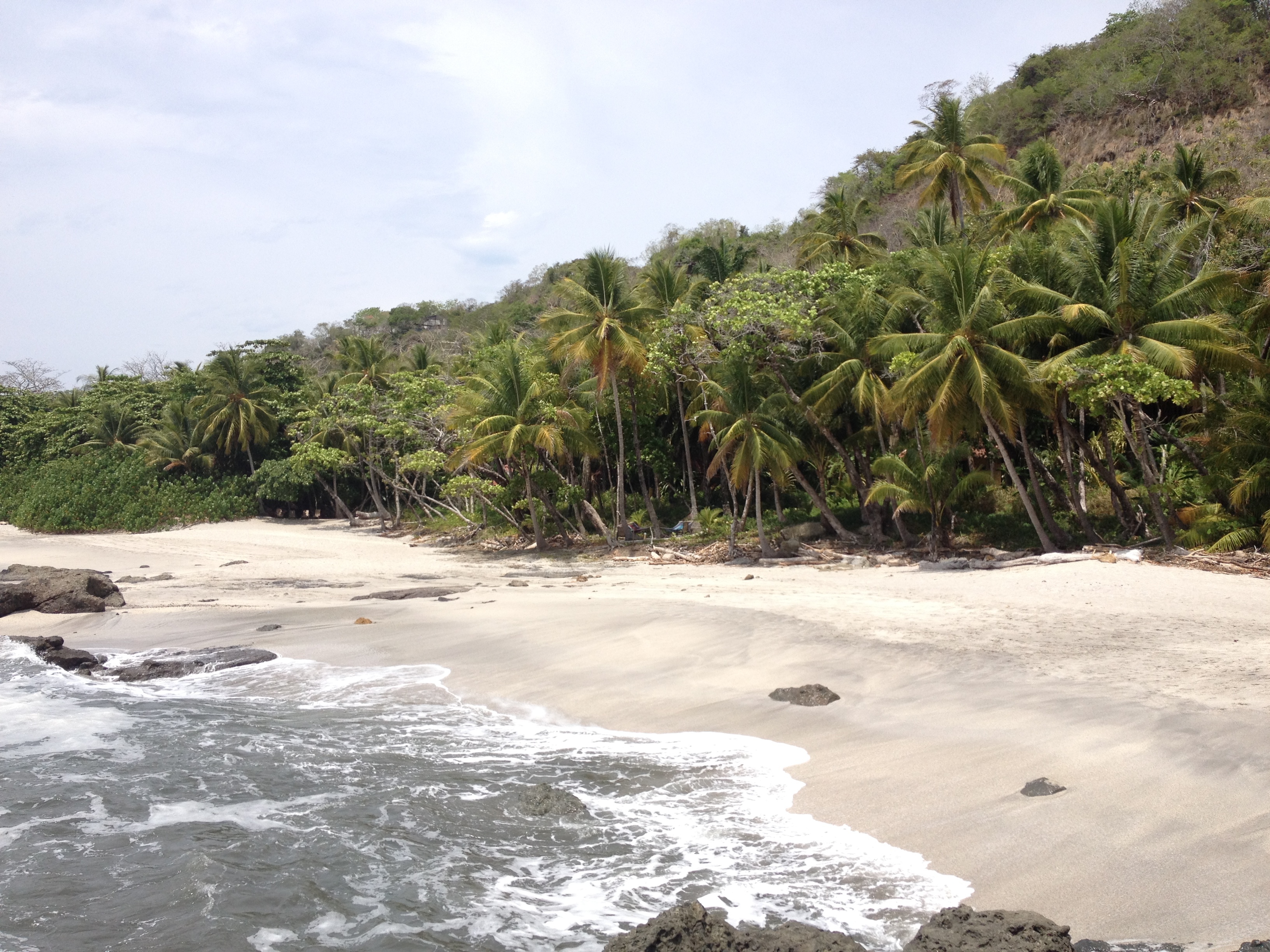 Photo Costa Rica Montezuma 2015-03 574