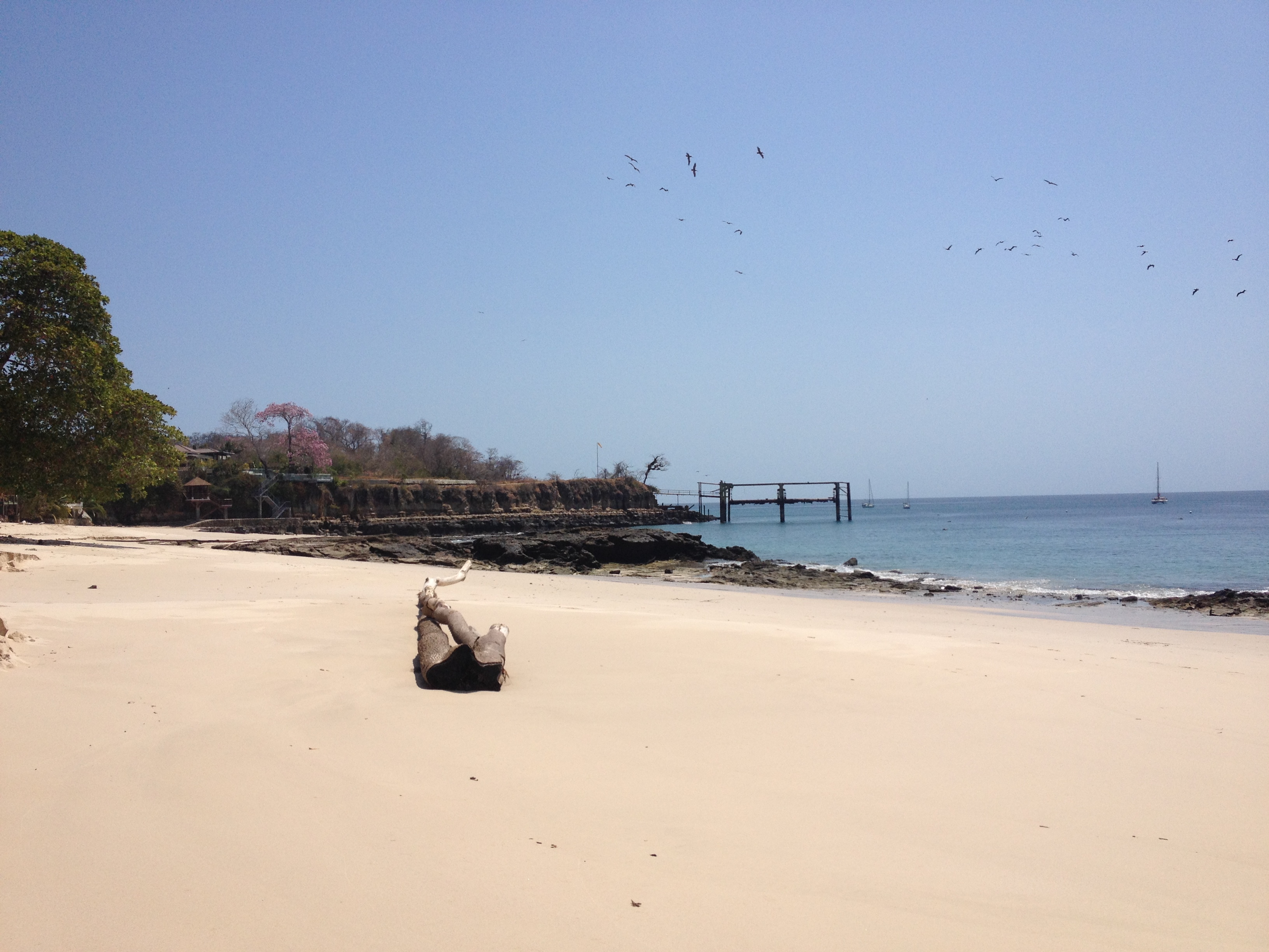 Photo Panama Ile de Contadora 2015-03 59