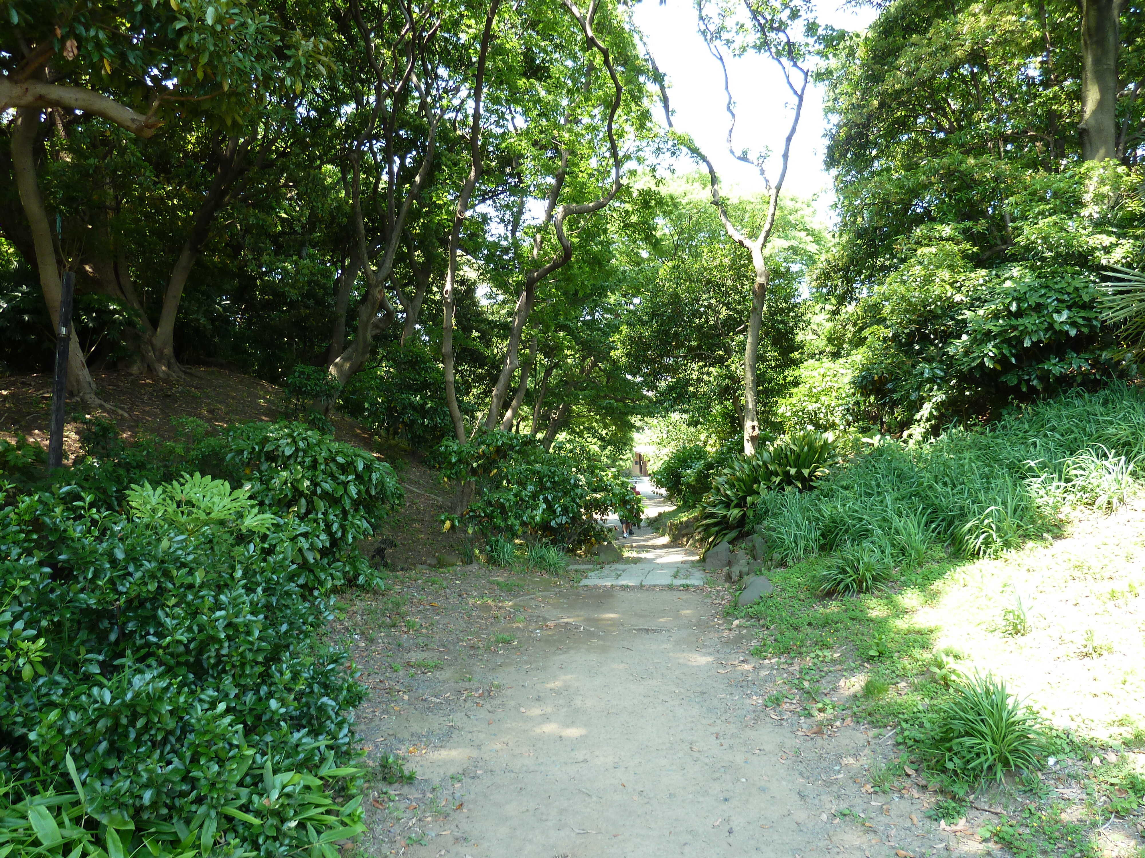 Photo Japon Tokyo Jardins Hama rikyu 2010-06 52