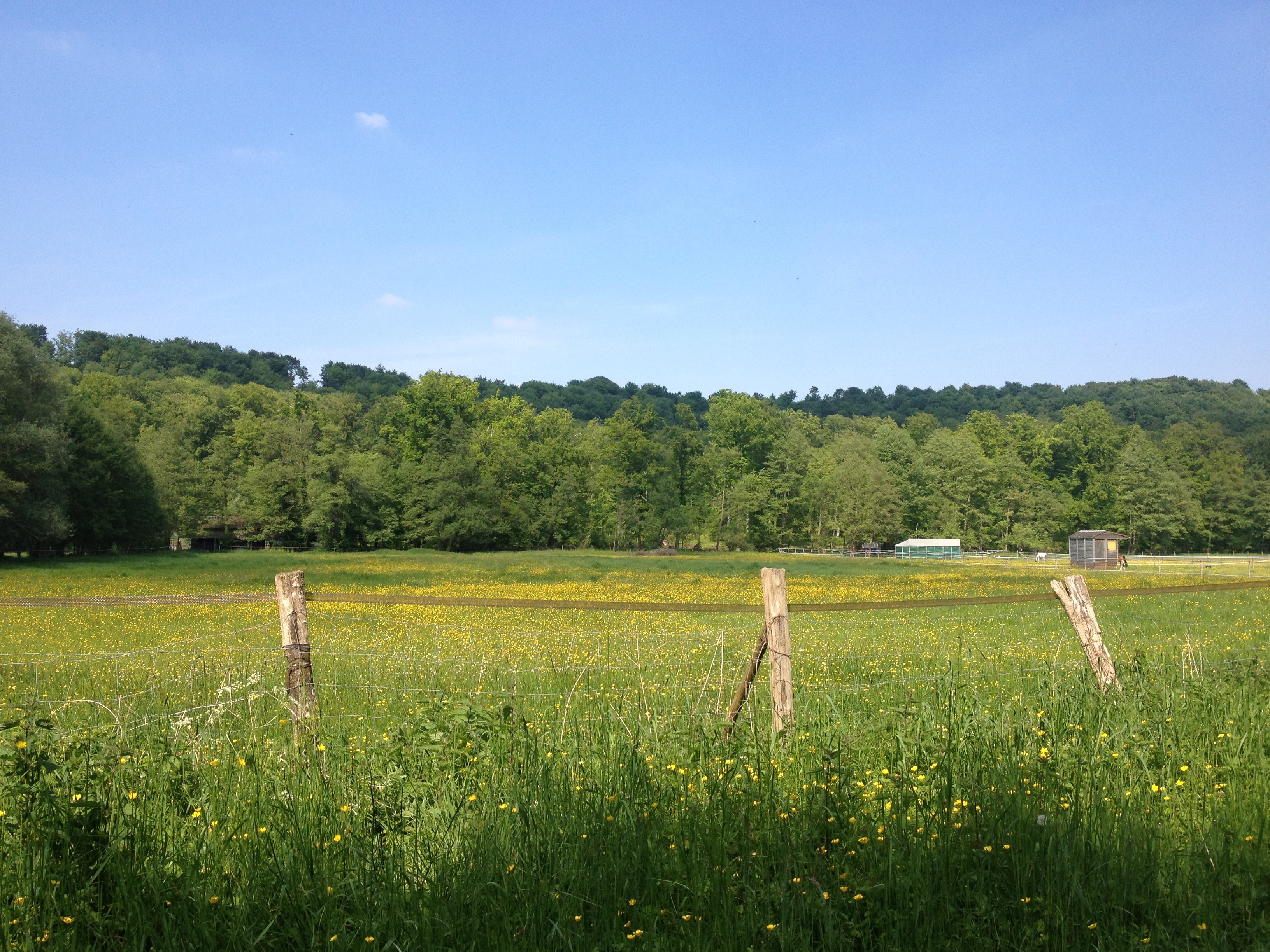 Photo France Pierrefonds 2014-05 123