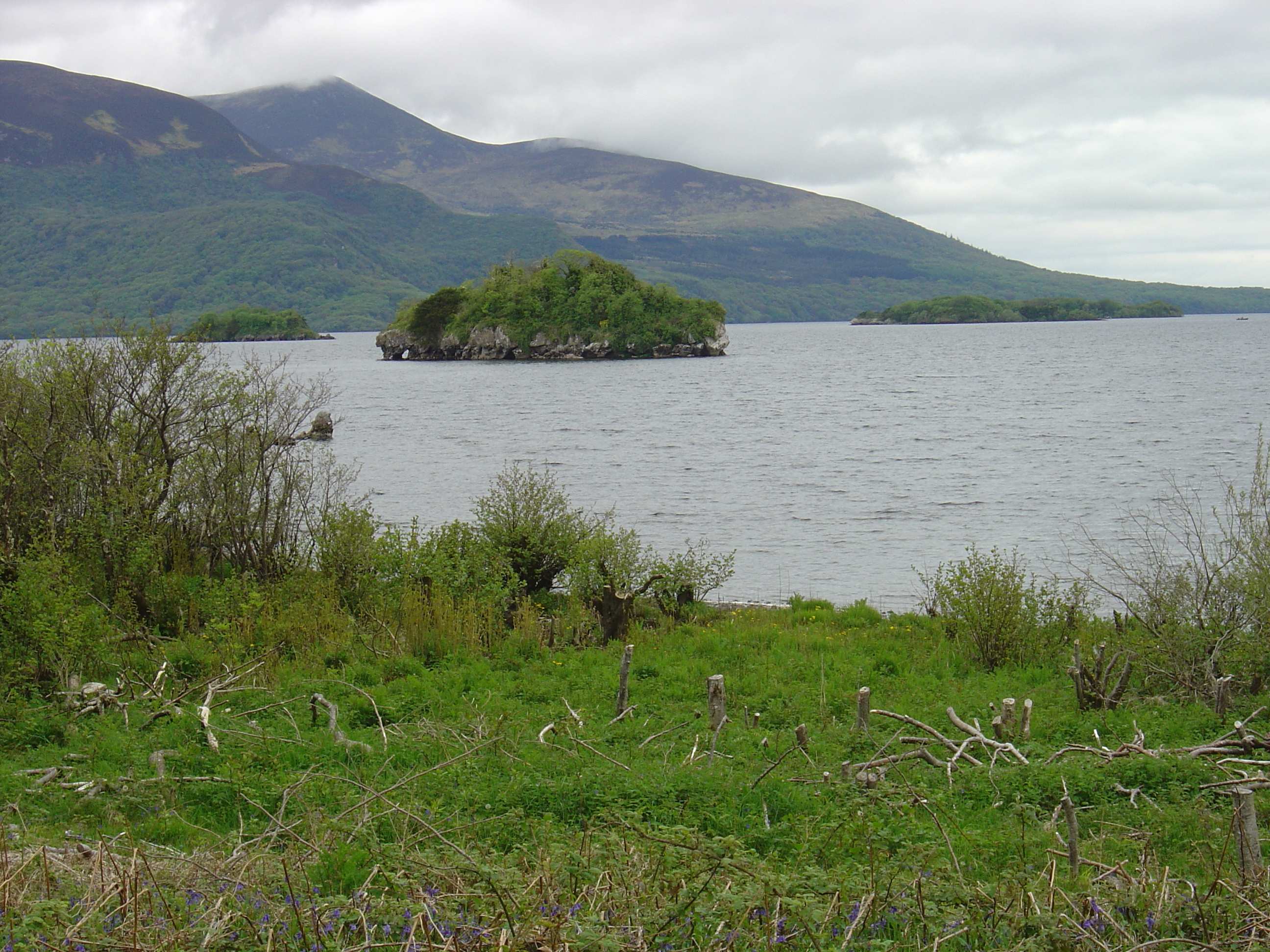 Photo Irlande Kerry Parc National de Killarney Muckross Lake 2004-05 14
