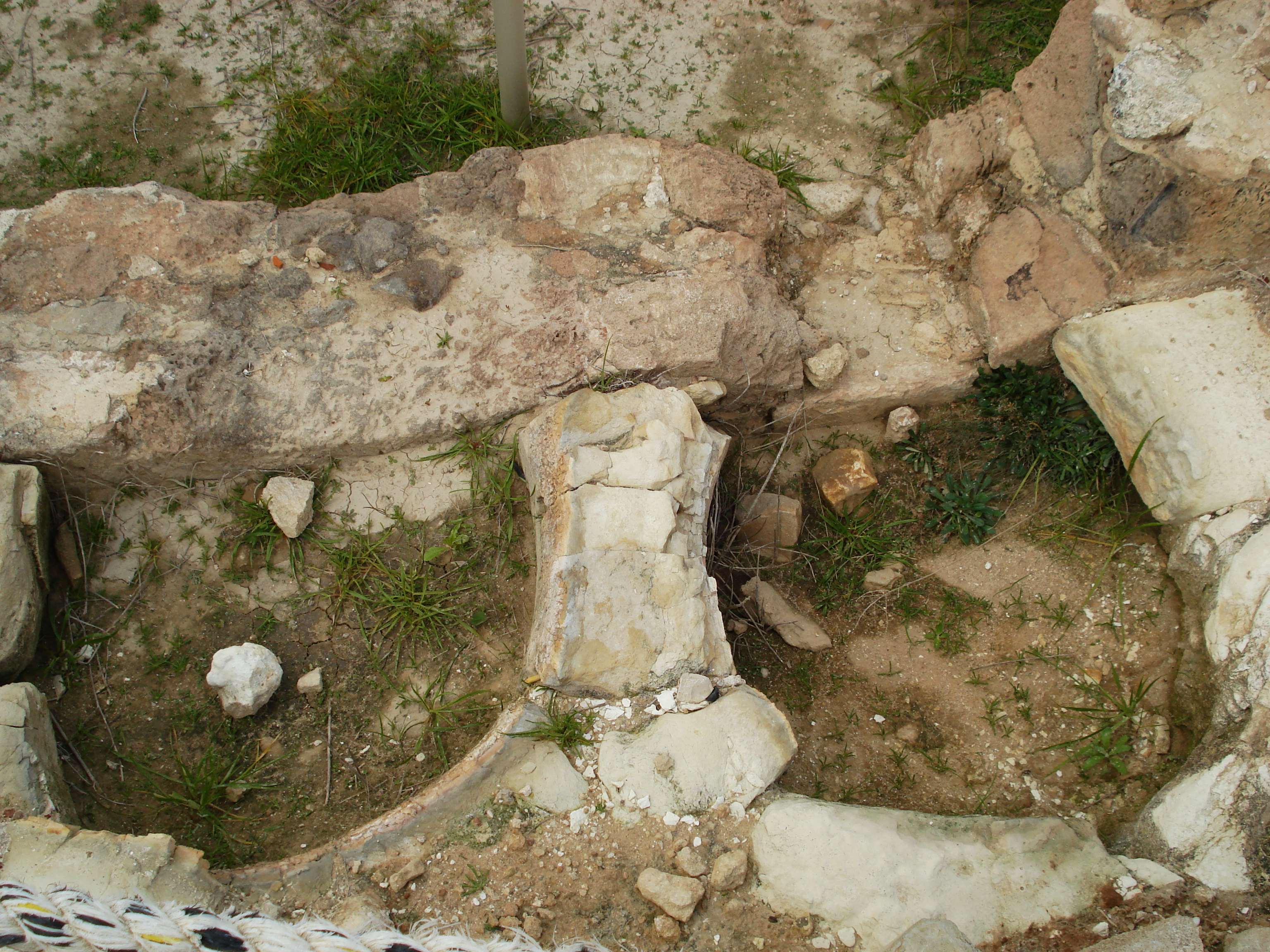 Photo Israel Apollonia 2006-12 17