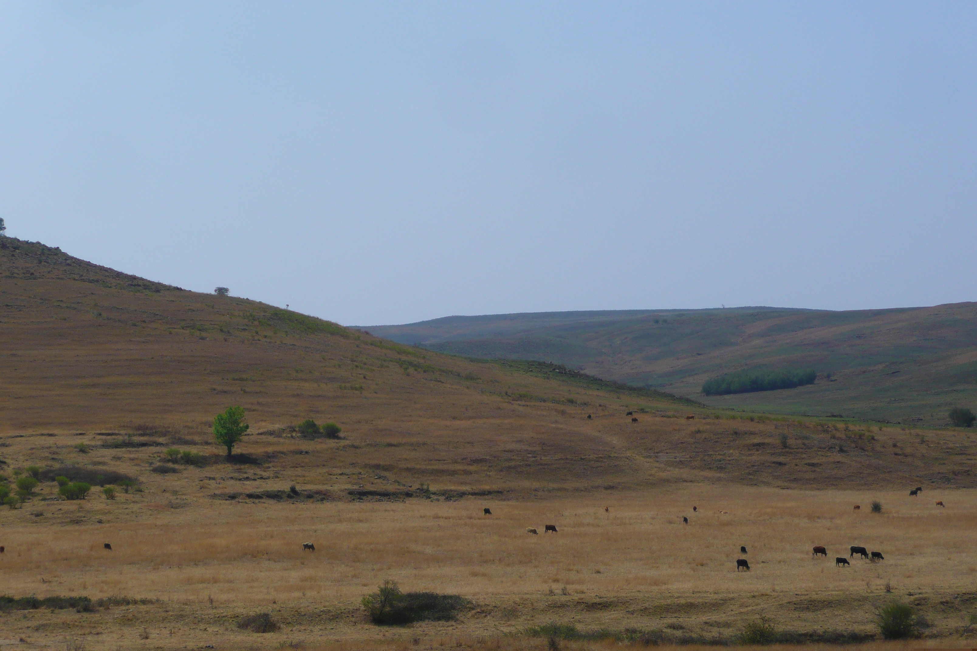 Photo Afrique du Sud route de Nelspruit à Johannesburg 2008-09 103