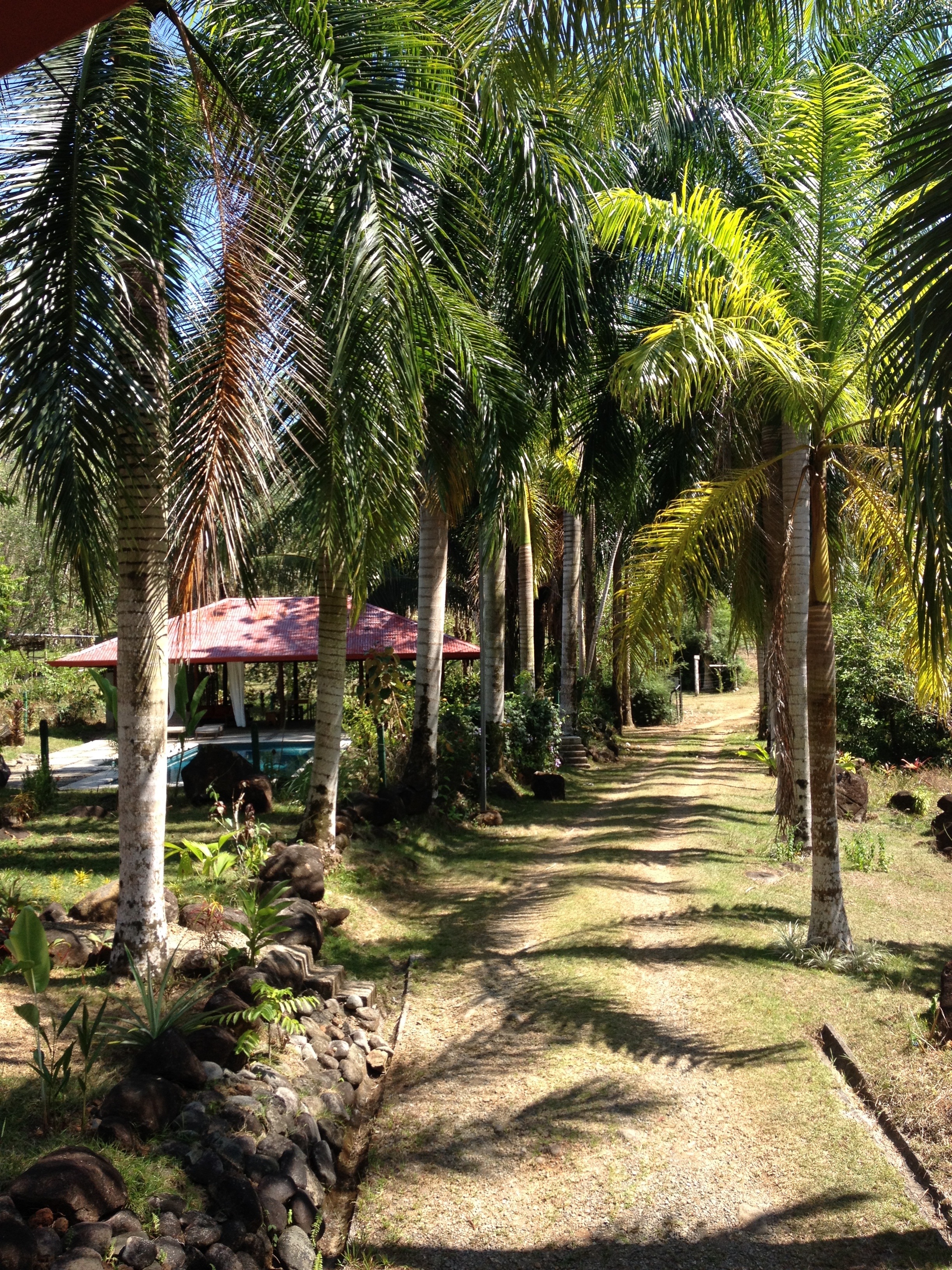 Photo Costa Rica Uvita 2015-03 79