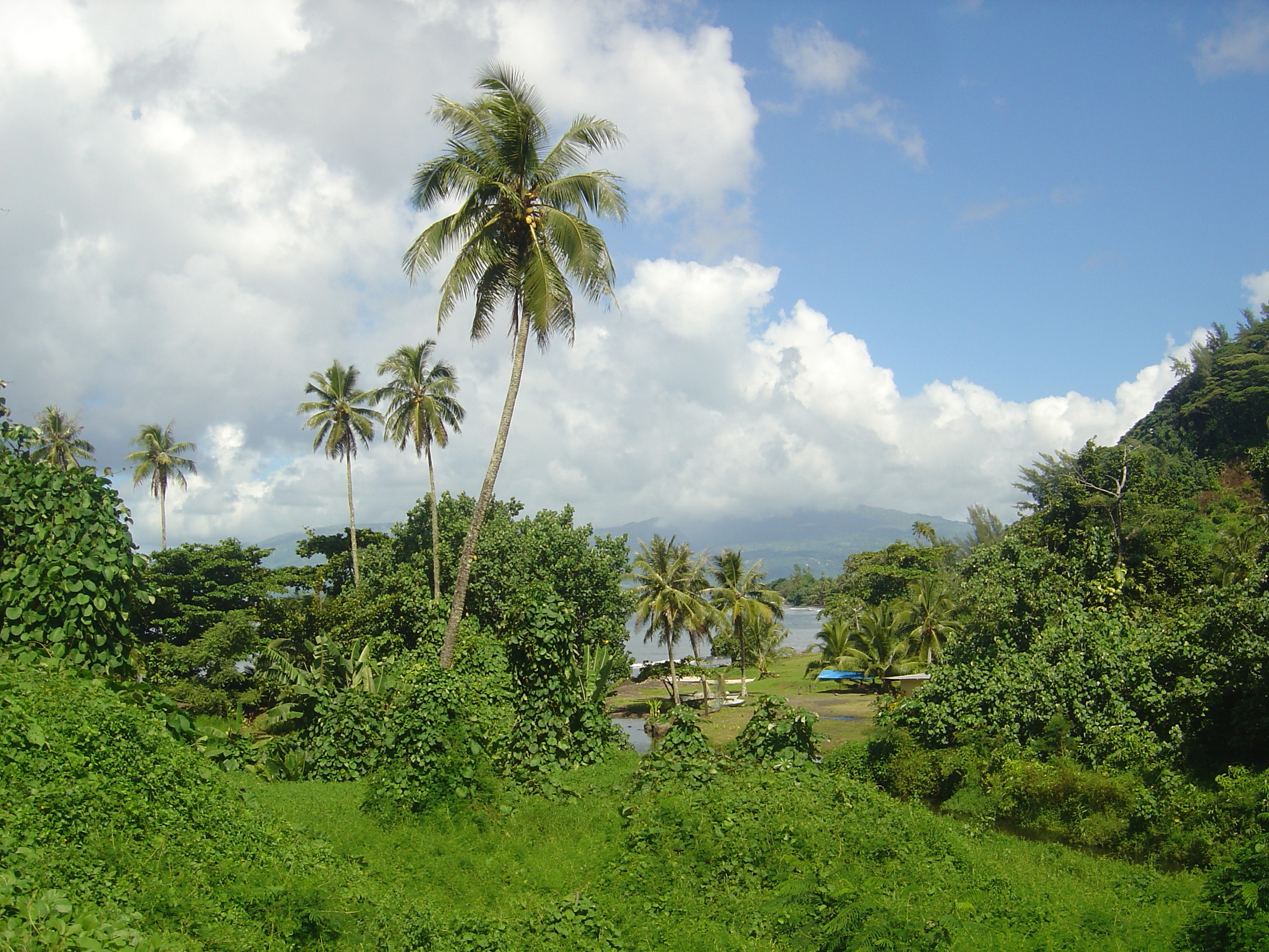 Photo Polynésie Tahiti 2006-04 0