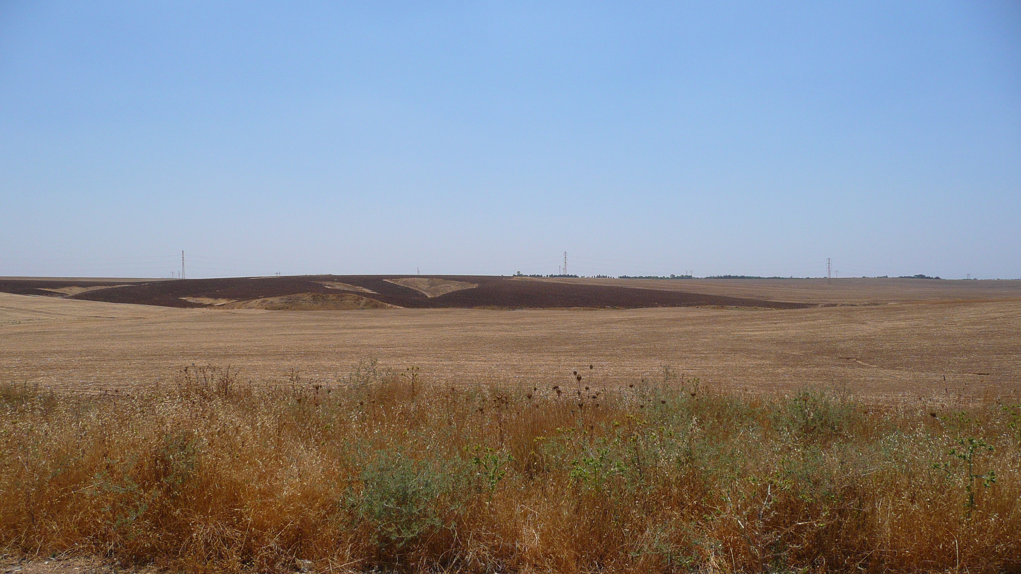 Photo Israel Route de Ashkelon à Arad 2007-06 9