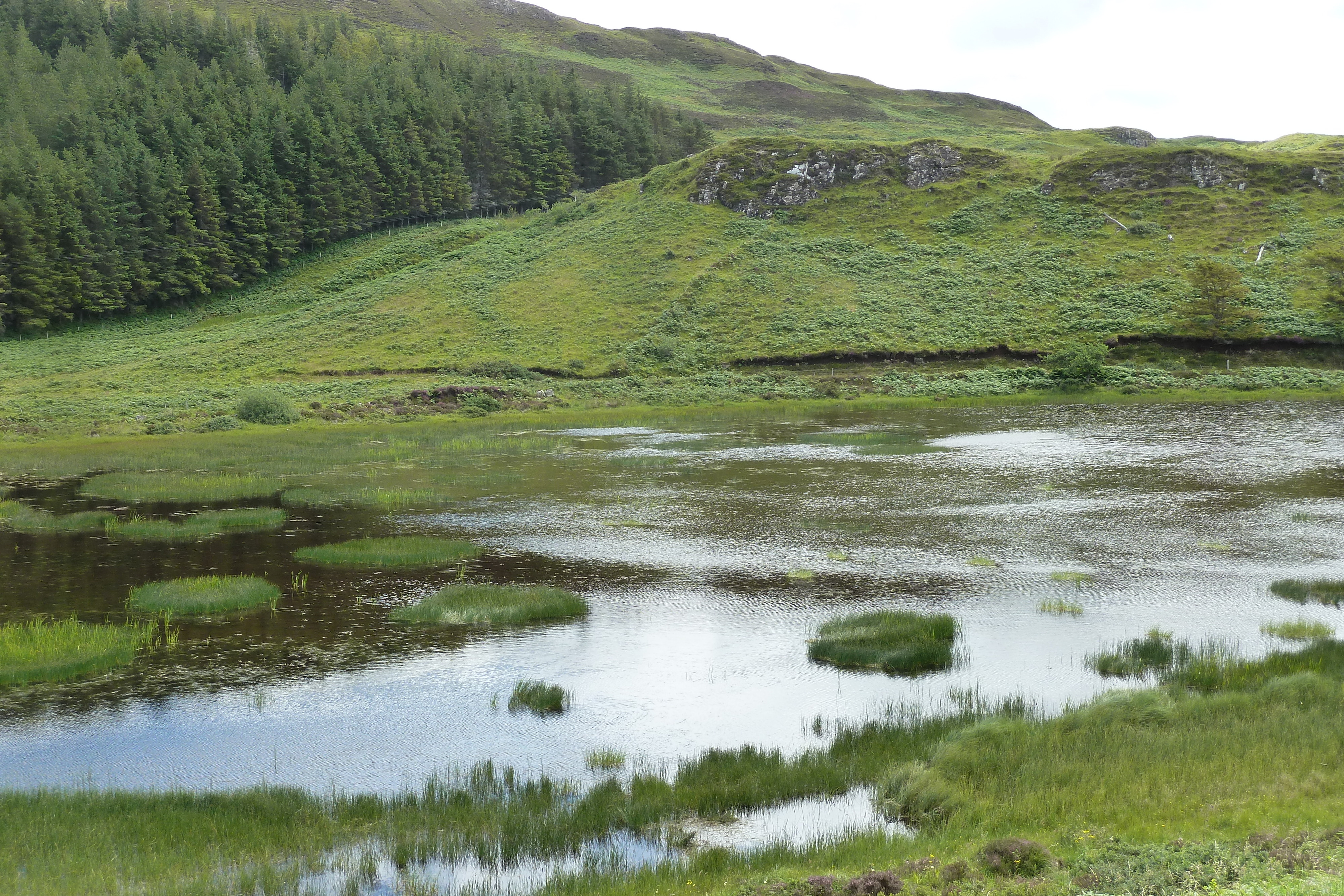 Photo Royaume-Uni Skye 2011-07 127