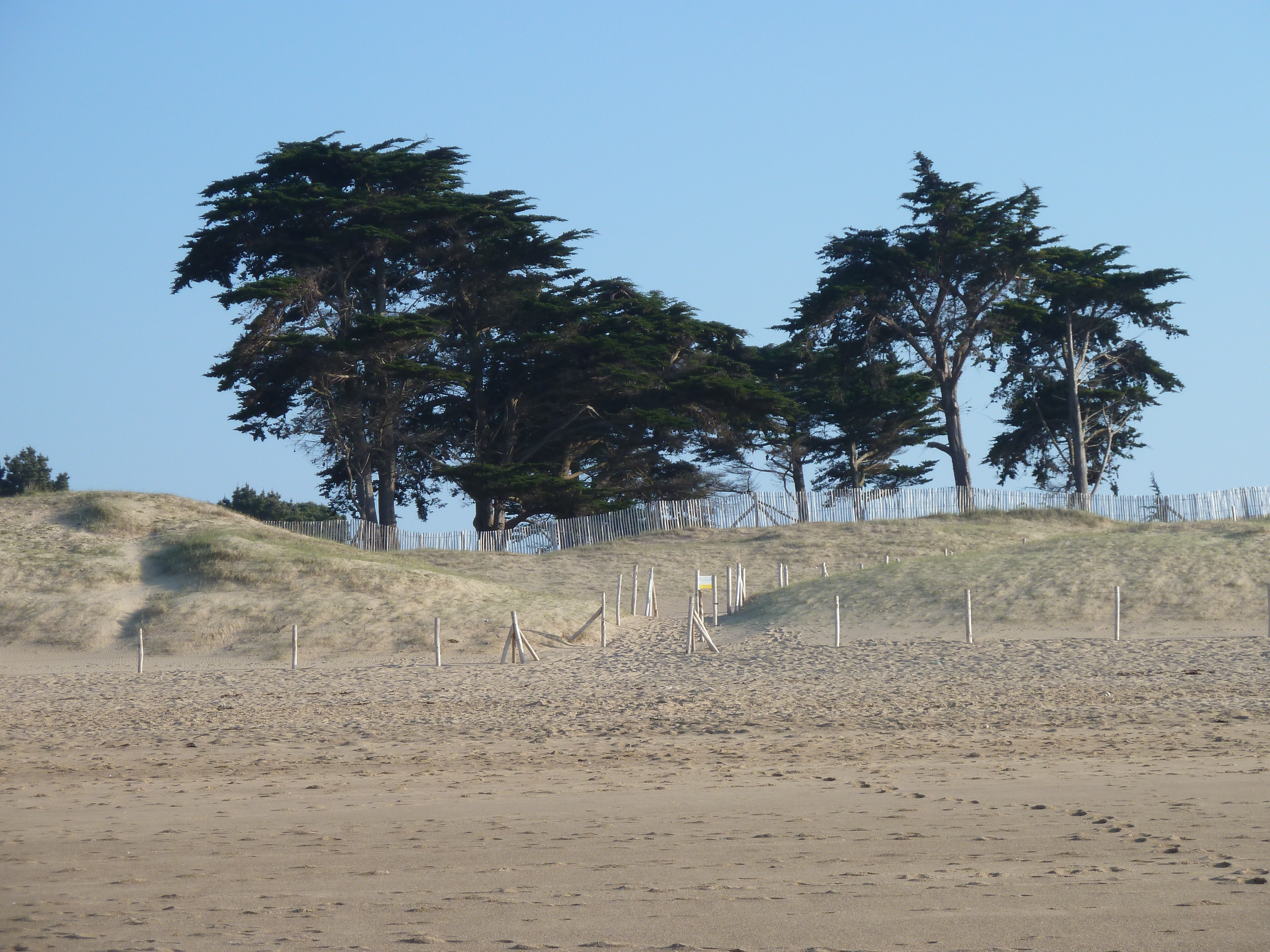 Photo France Saint Coulomb Plage des Chevrets 2010-04 40