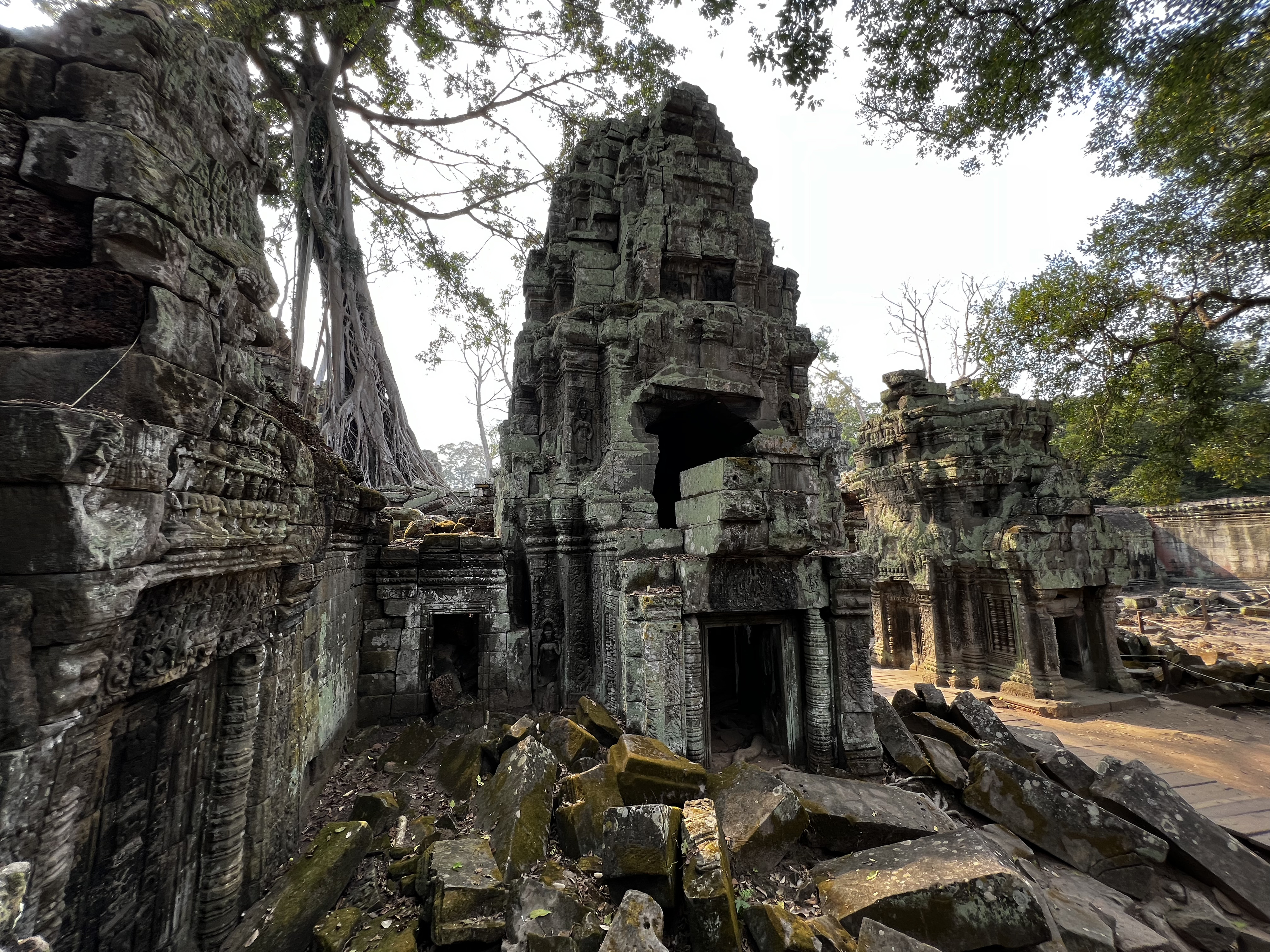 Photo Cambodge Siem Reap Ta Prohm 2023-01 67