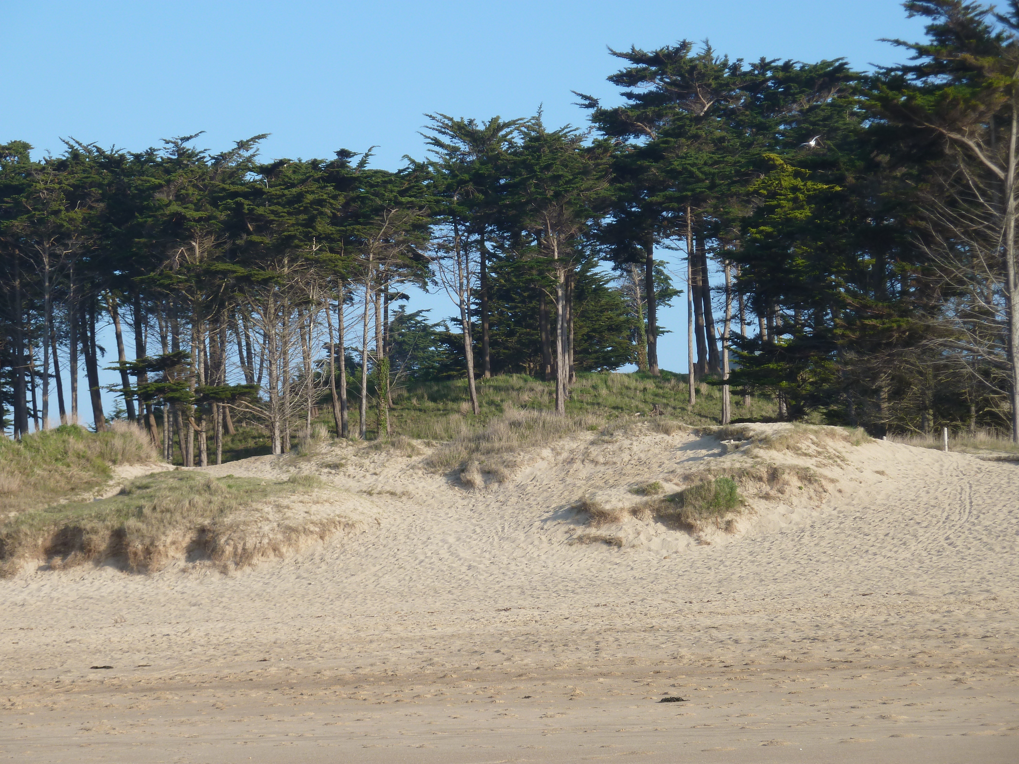 Photo France Saint Coulomb Plage des Chevrets 2010-04 4