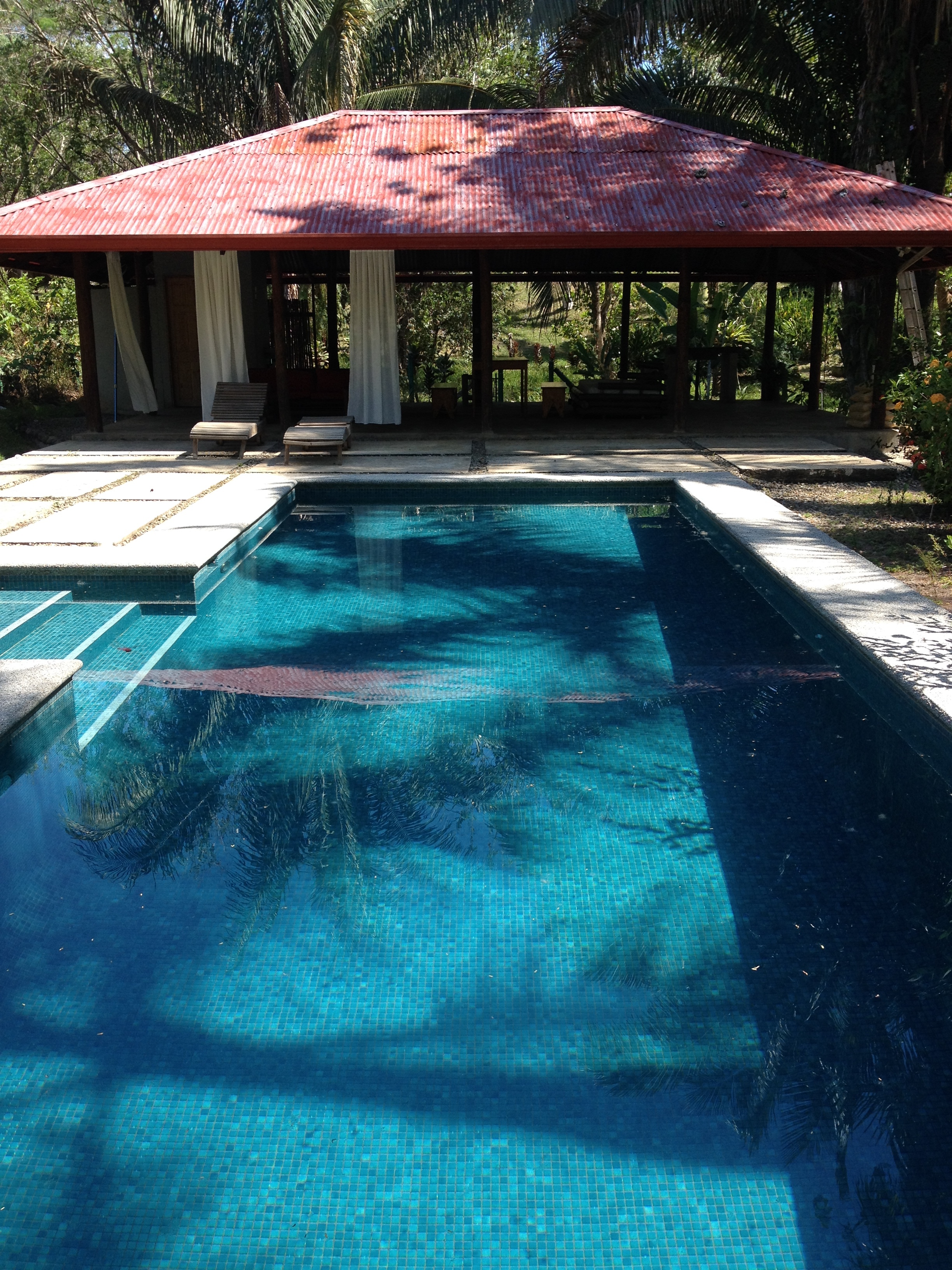 Photo Costa Rica Uvita 2015-03 30