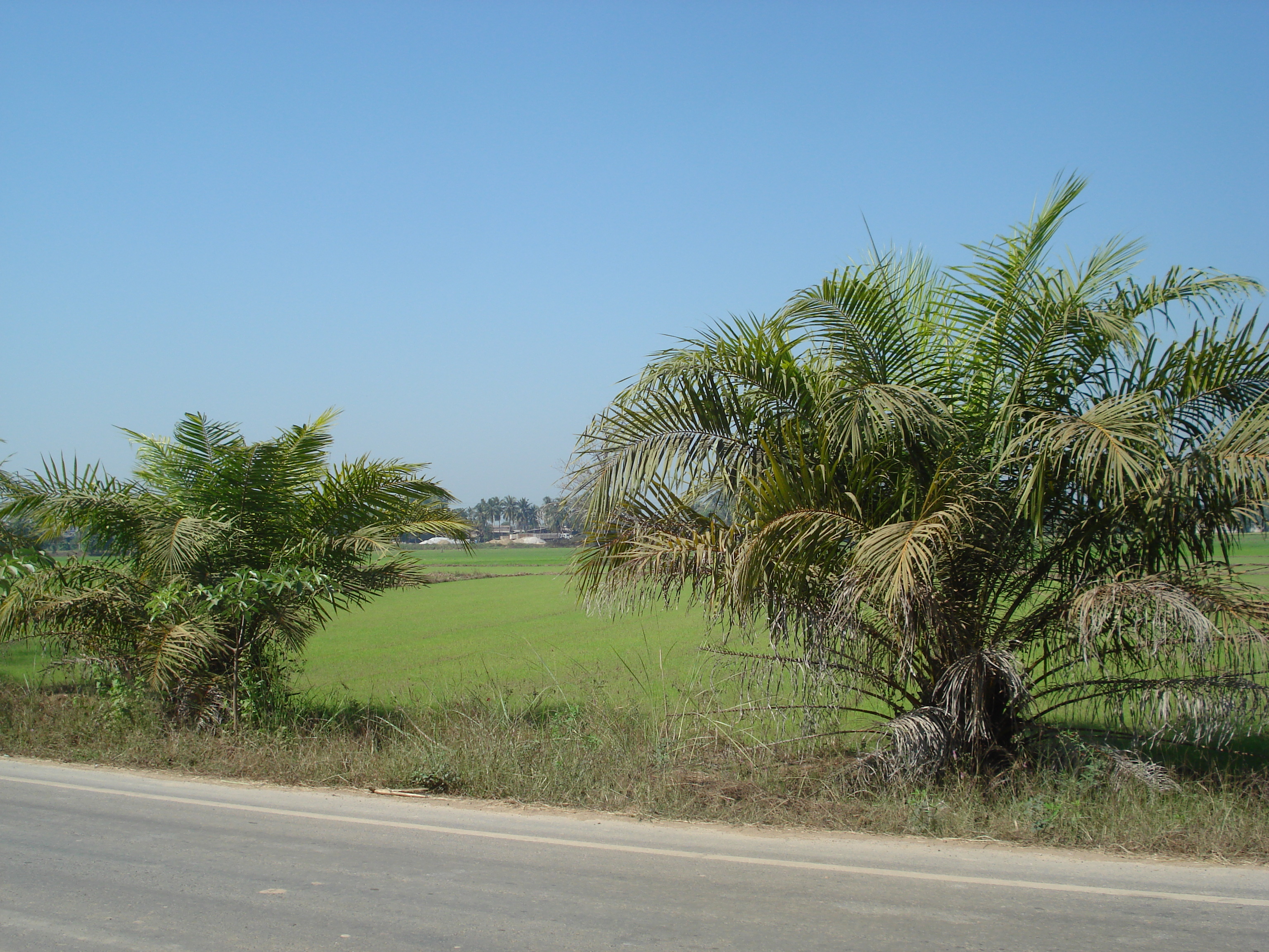 Photo Thaïlande Phitsanulok 2008-01 2