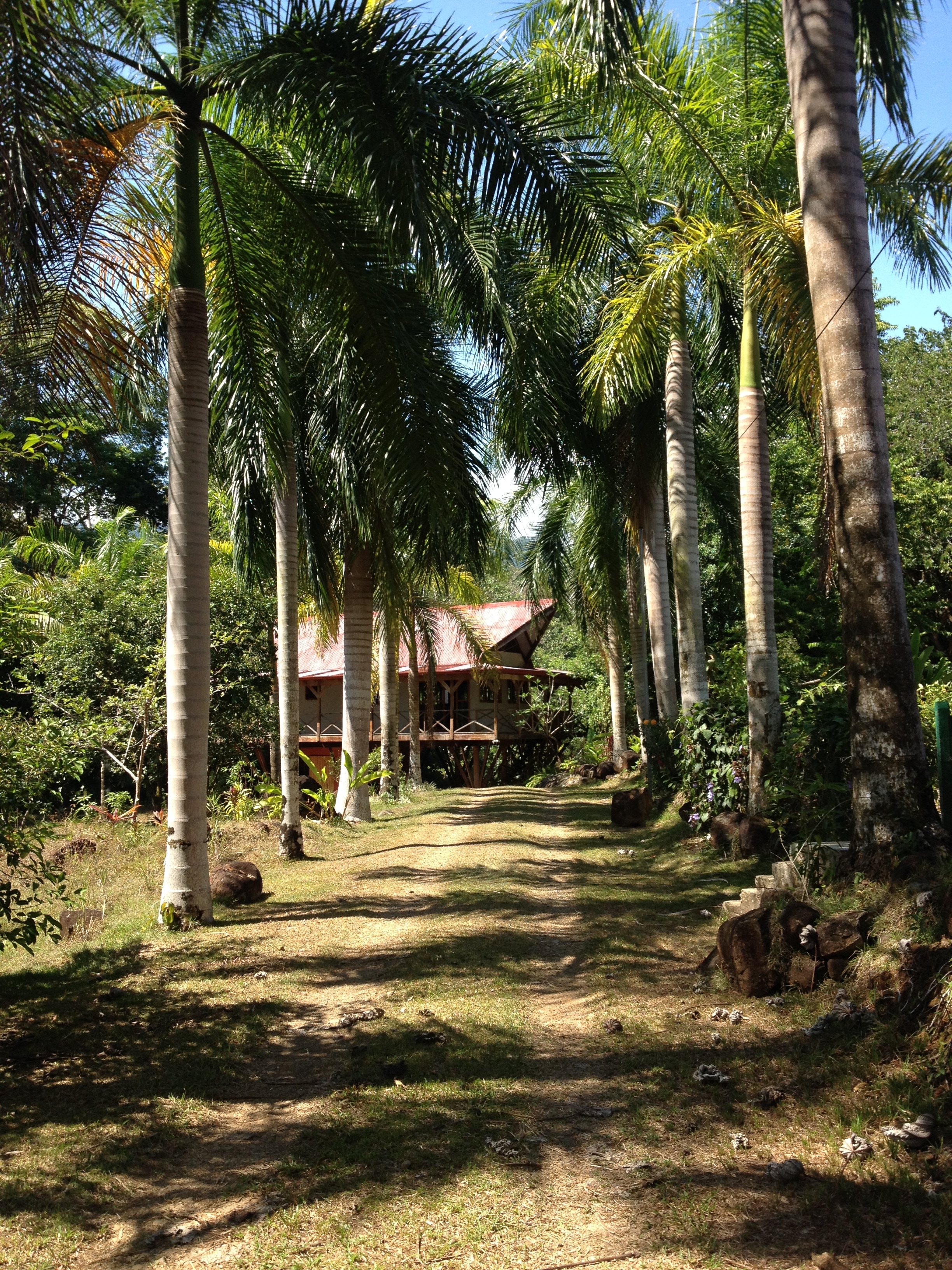 Photo Costa Rica Uvita 2015-03 77
