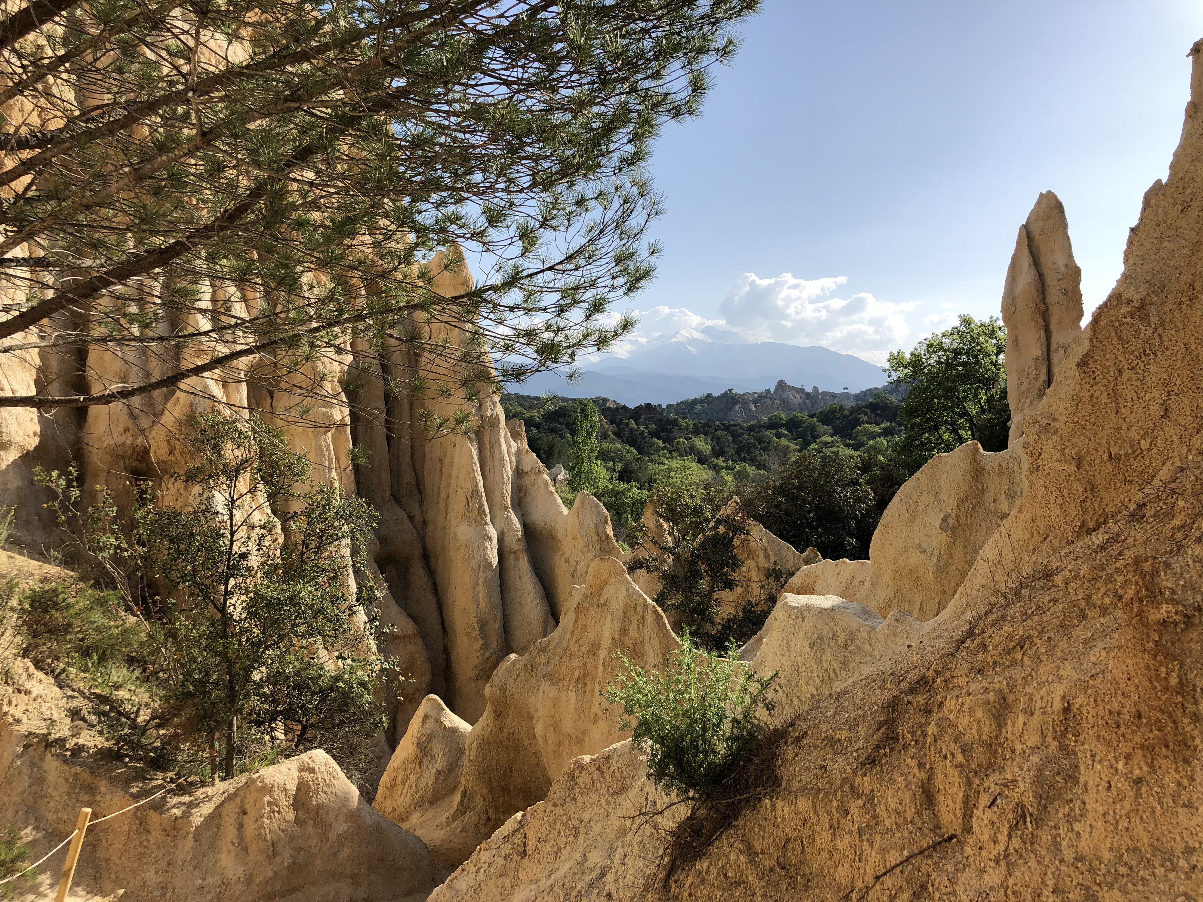 Photo France Orgues d'Ille Sur Tet 2018-04 68