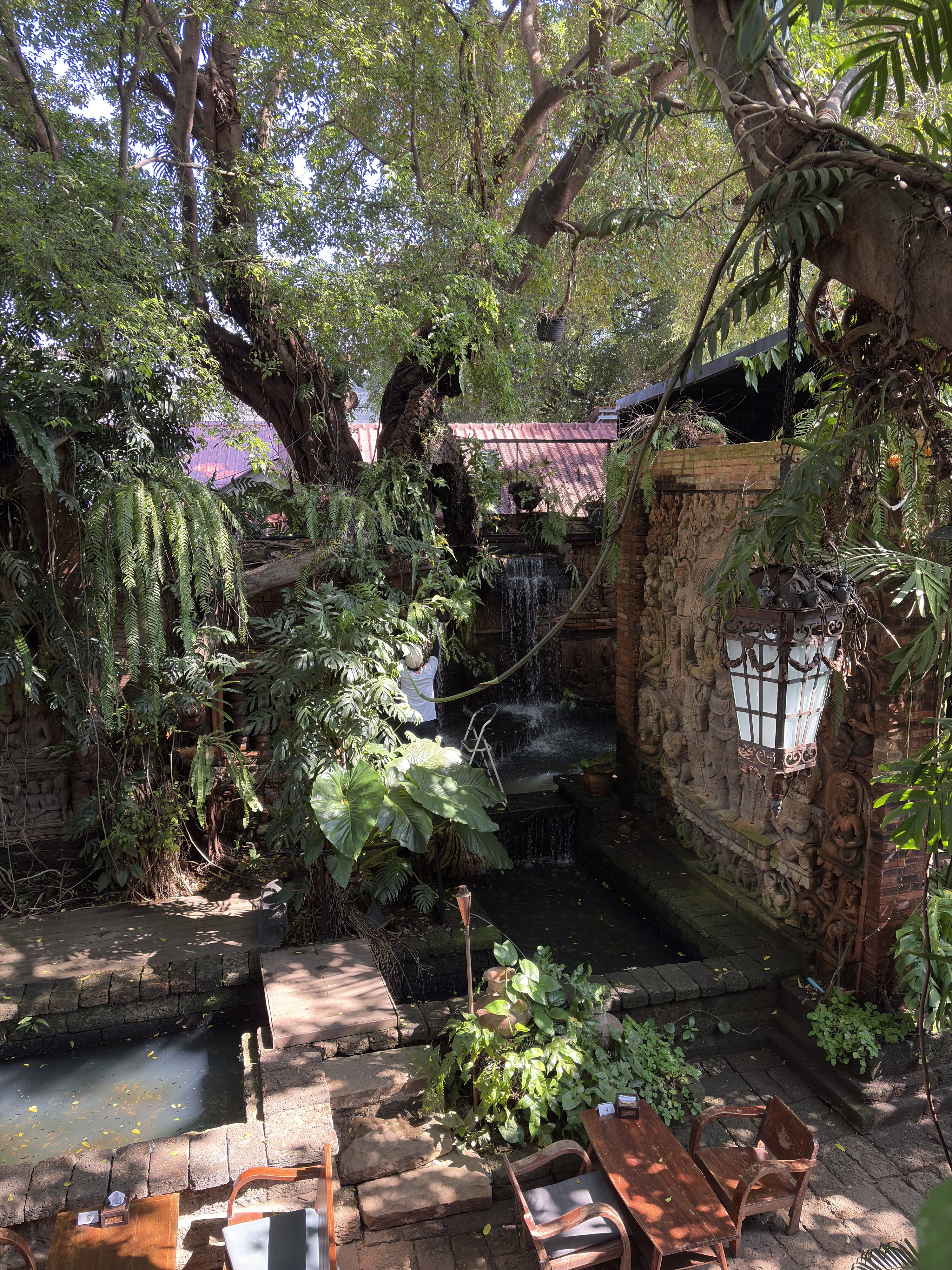 Photo Thaïlande Chiang Mai Restaurant Faces 2026-01 12