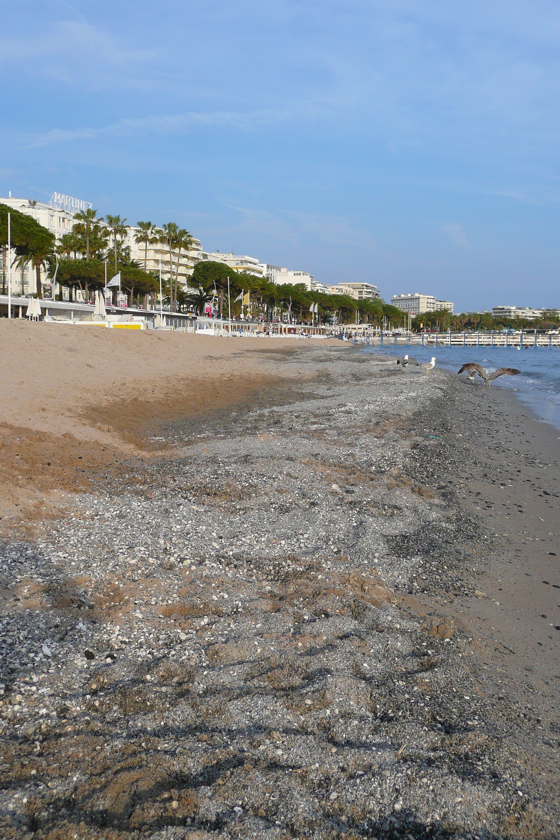 Photo France Cannes Plage 2008-04 42