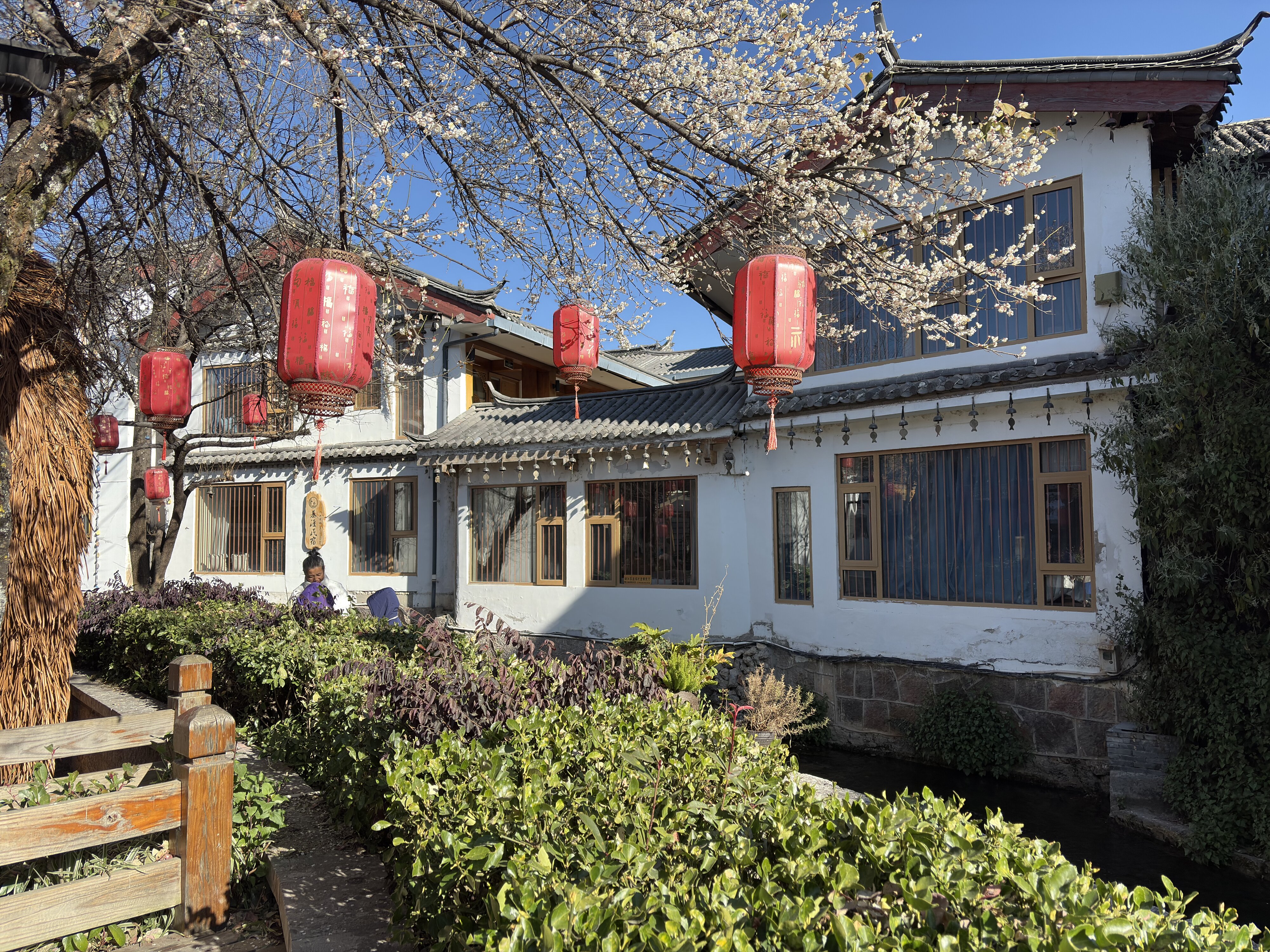 Photo Chine Lijiang 2026-01 673
