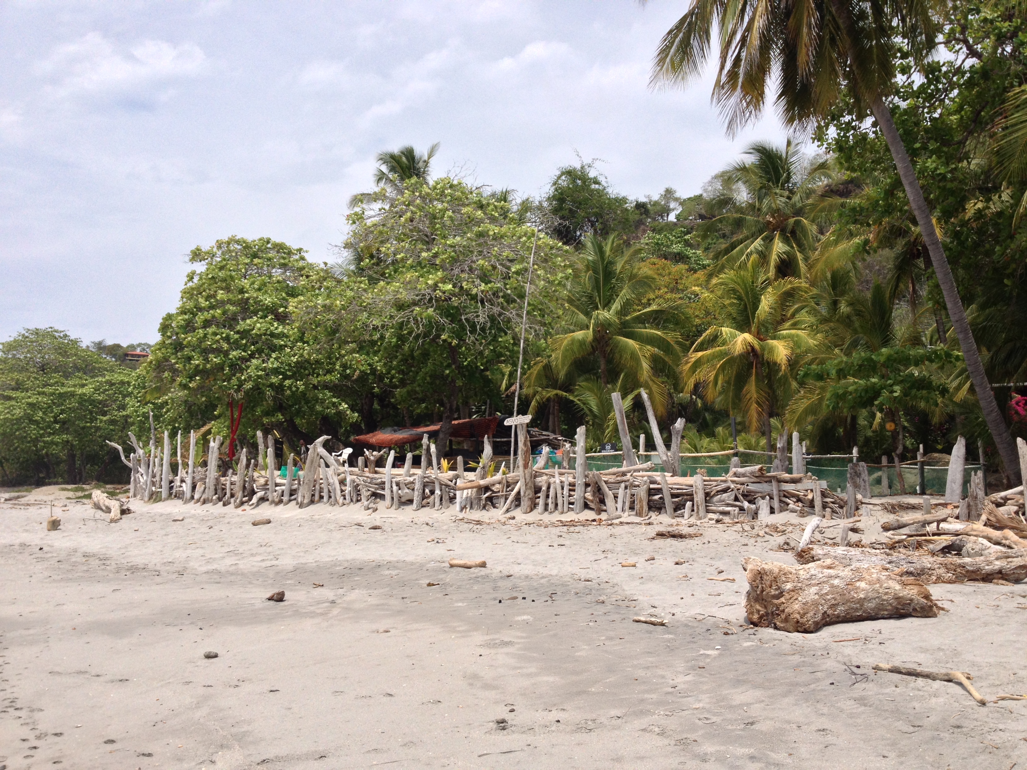 Photo Costa Rica Montezuma 2015-03 531