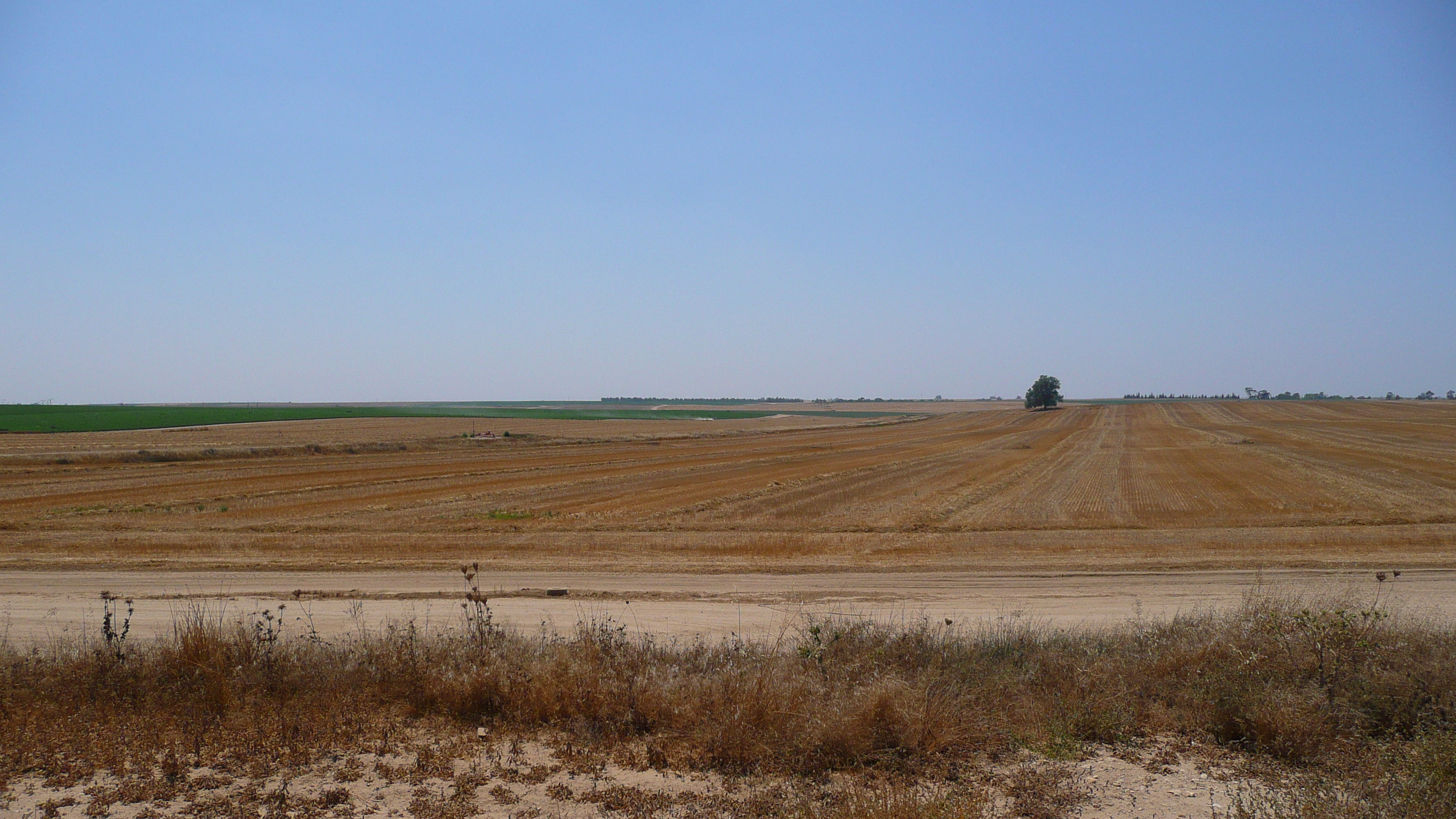 Photo Israel Route de Ashkelon à Arad 2007-06 20