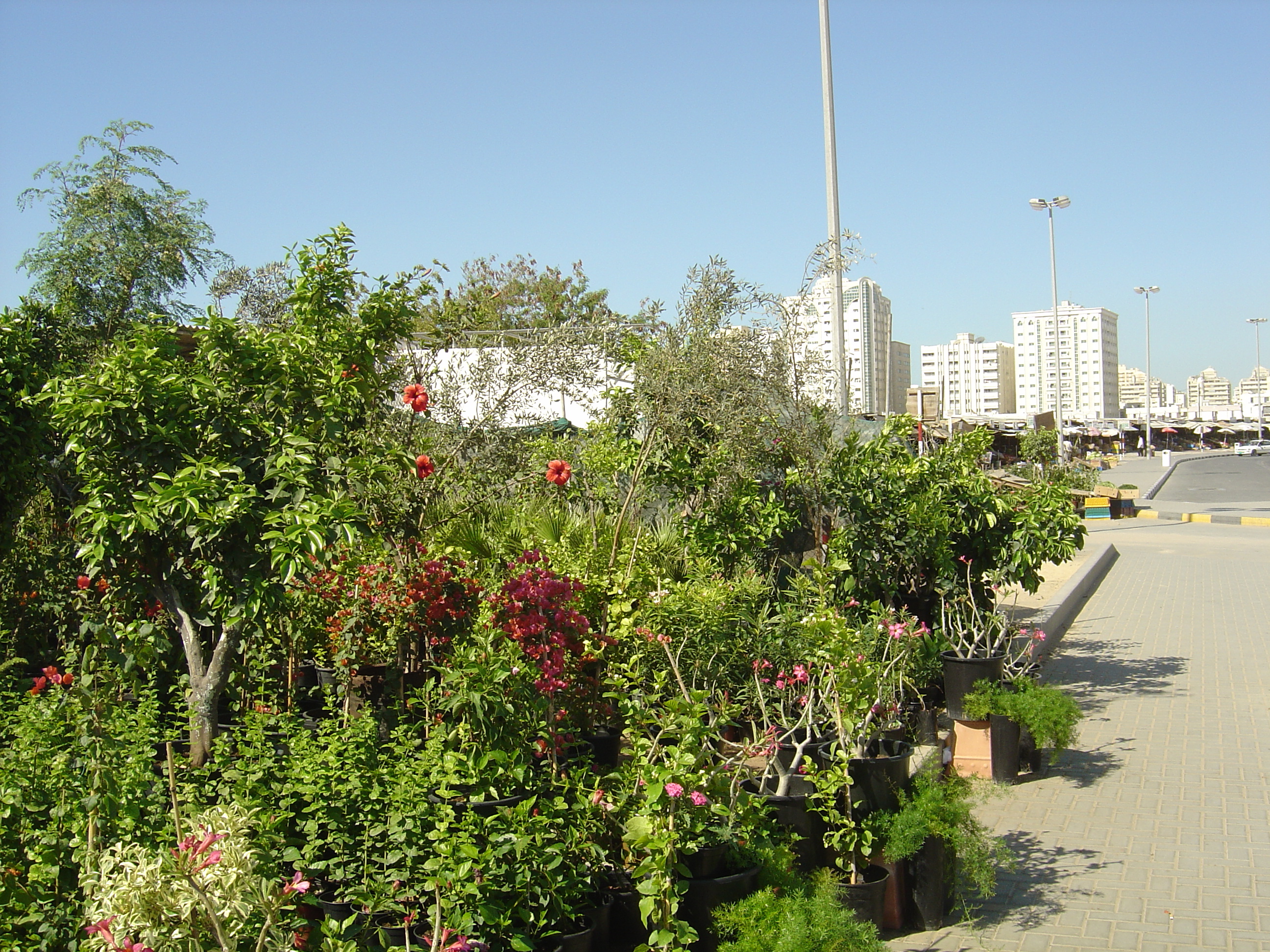 Photo Émirats arabes unis Sharjah 2005-03 18