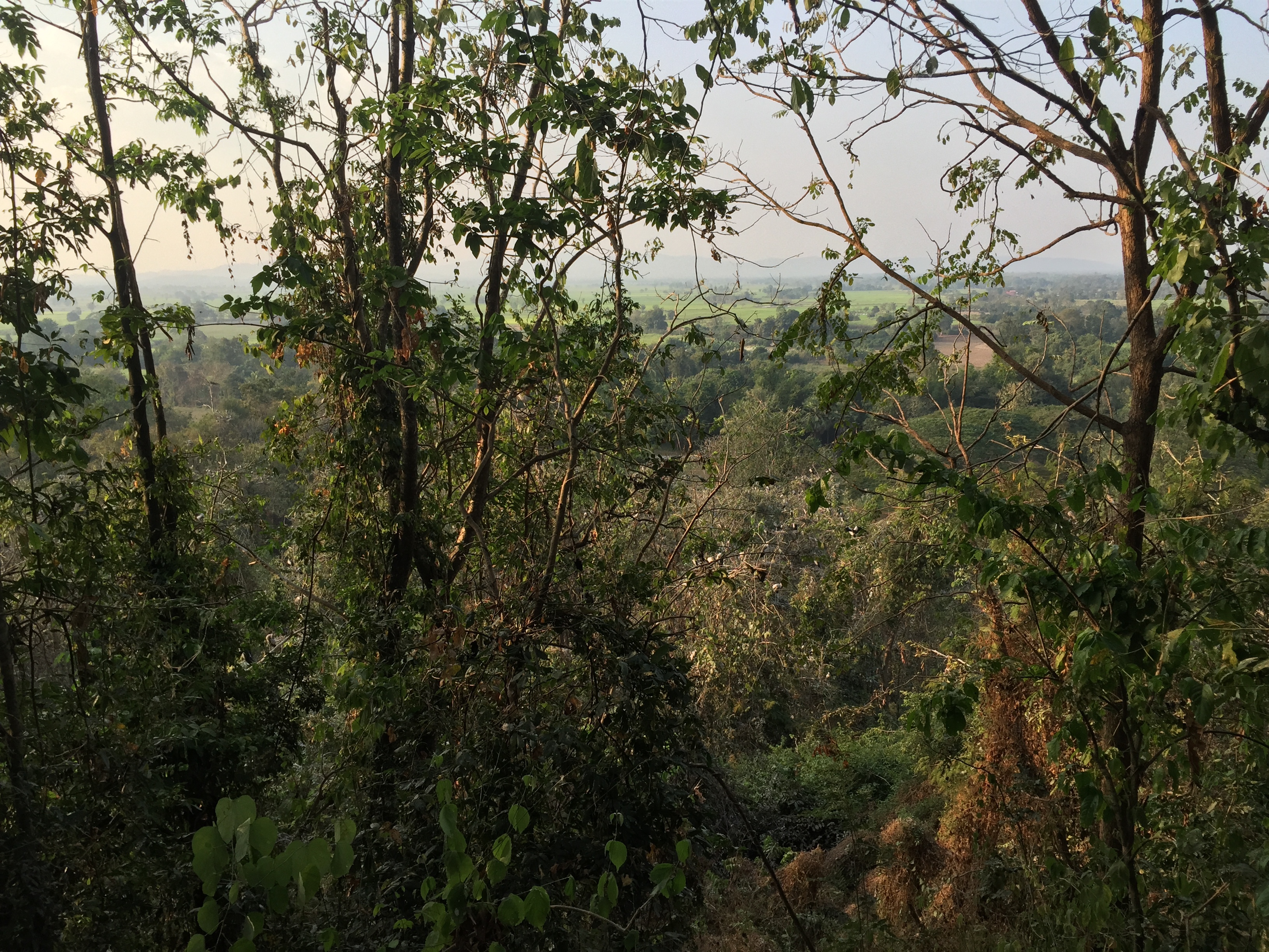 Photo Thaïlande Parc Si satchanalai 2014-12 181